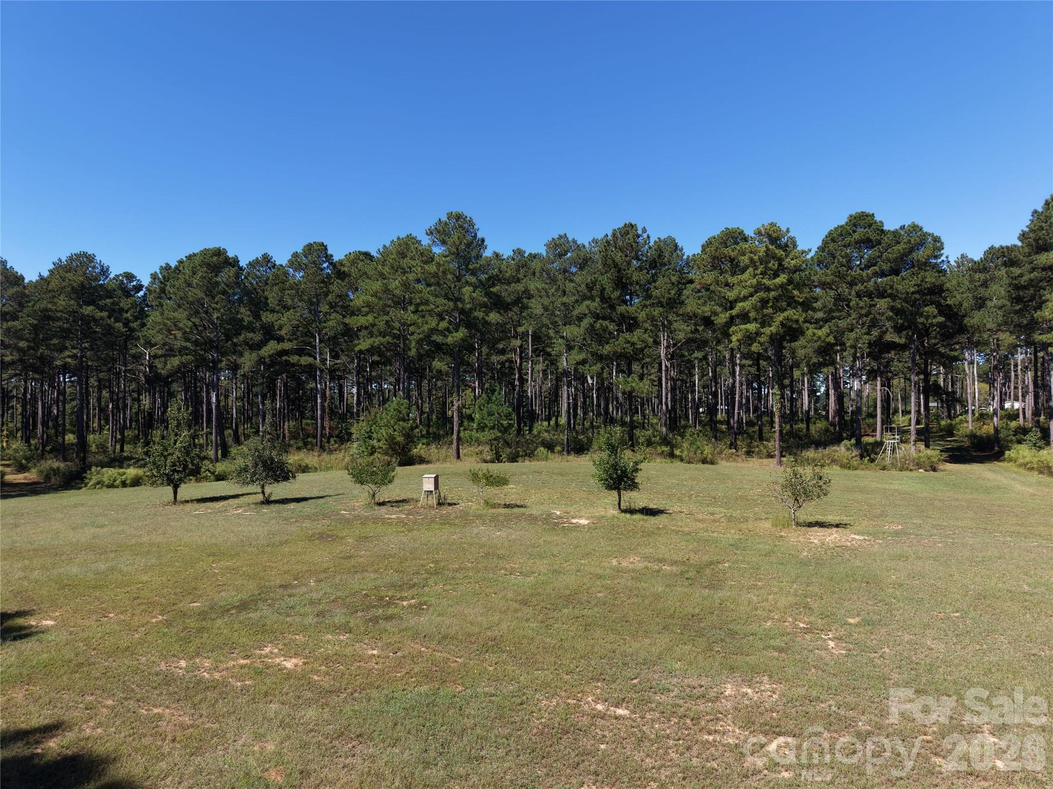 Farm at 393 Red Hill Road, Wadesboro, photo 36 of 48