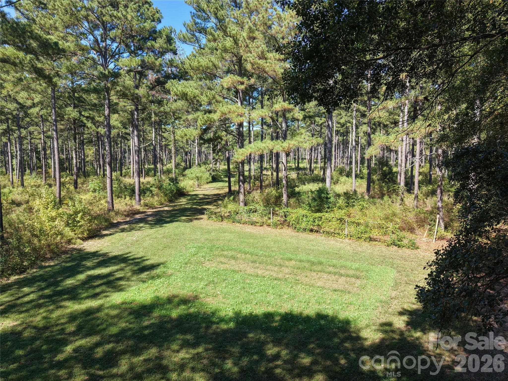 Farm at 393 Red Hill Road, Wadesboro, photo 38 of 48