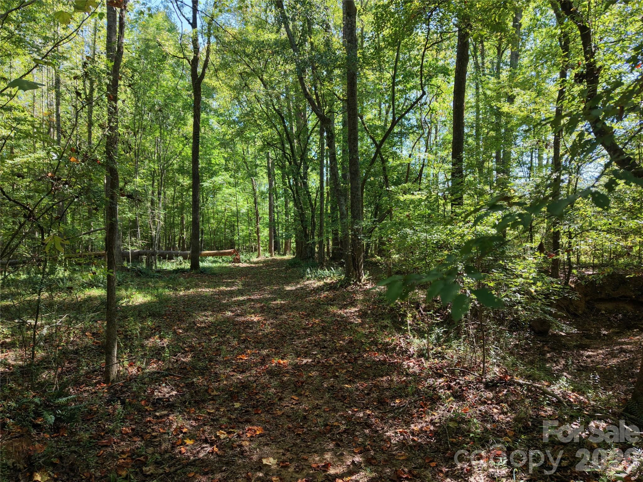 Farm at 393 Red Hill Road, Wadesboro, photo 40 of 48
