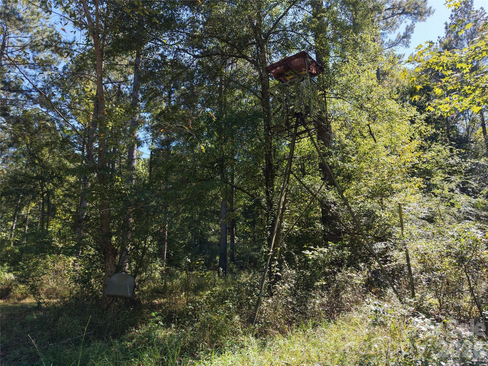 Farm at 393 Red Hill Road, Wadesboro, photo 41 of 48