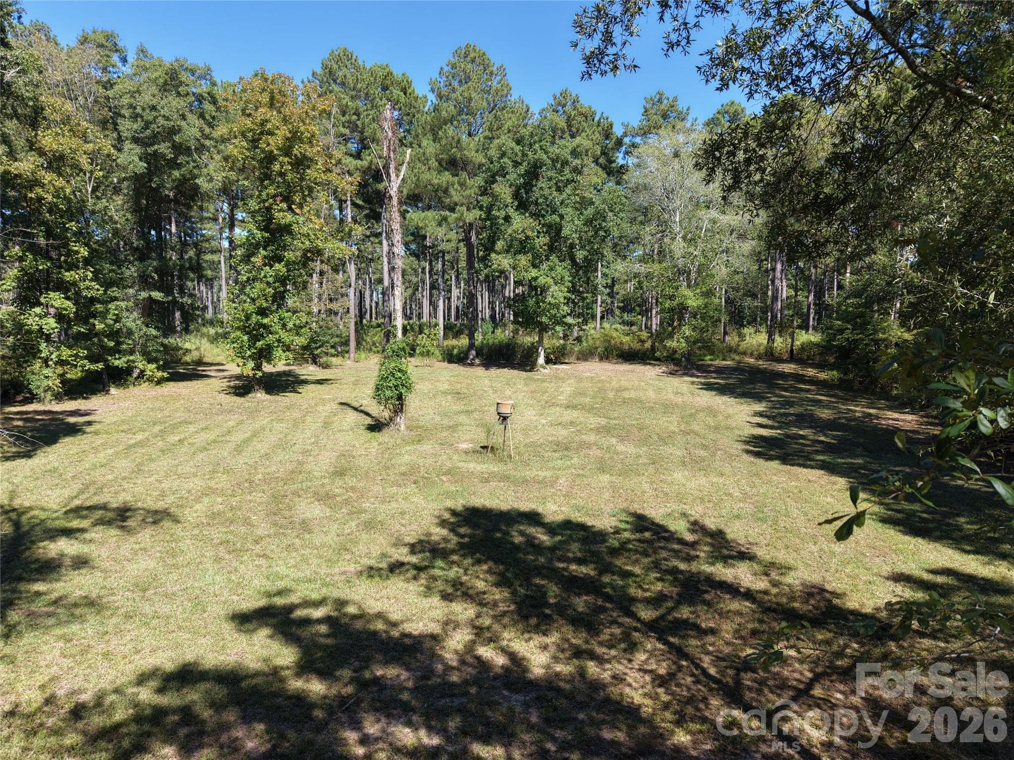 Farm at 393 Red Hill Road, Wadesboro, photo 42 of 48