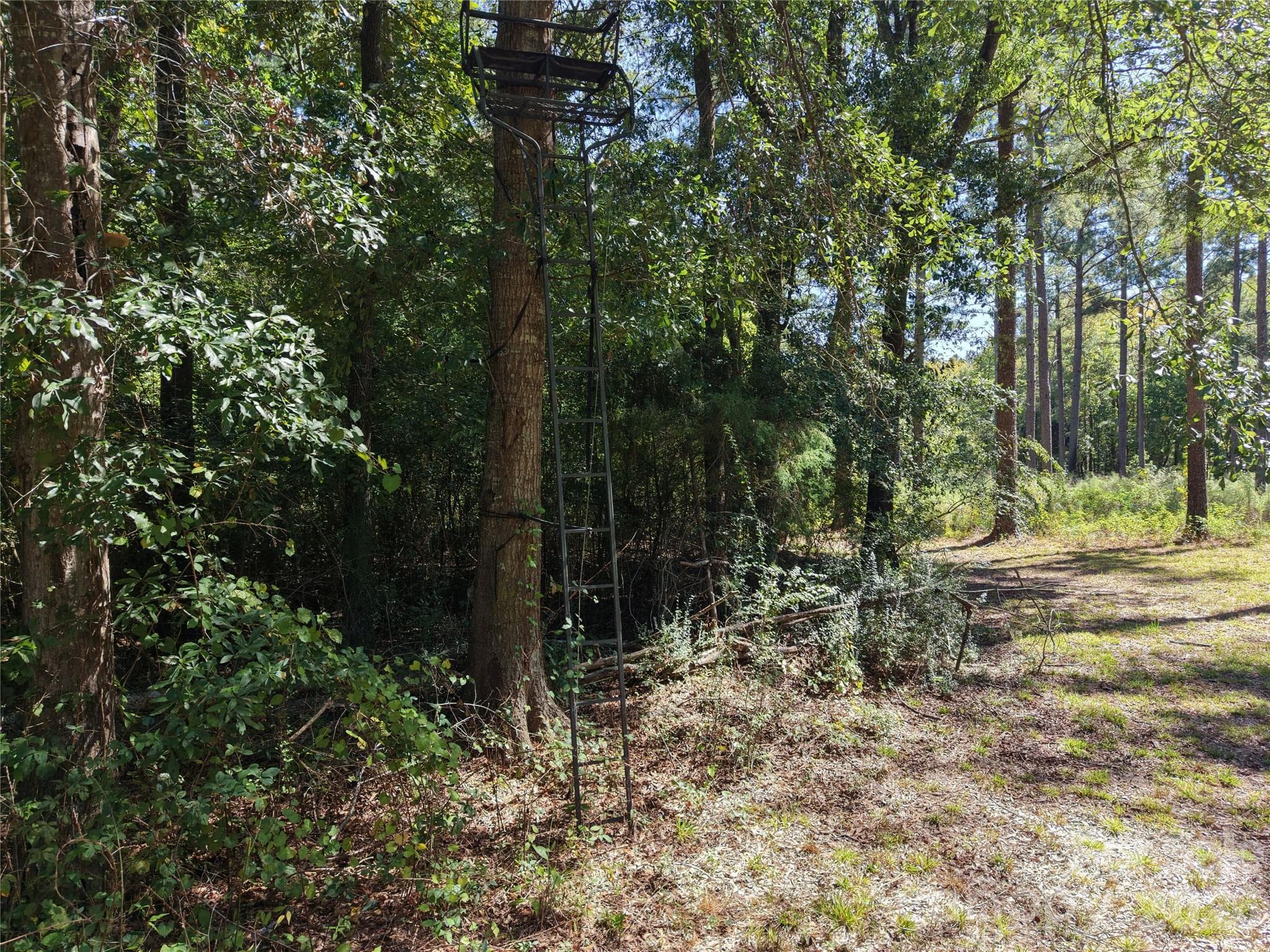 Farm at 393 Red Hill Road, Wadesboro, photo 43 of 48