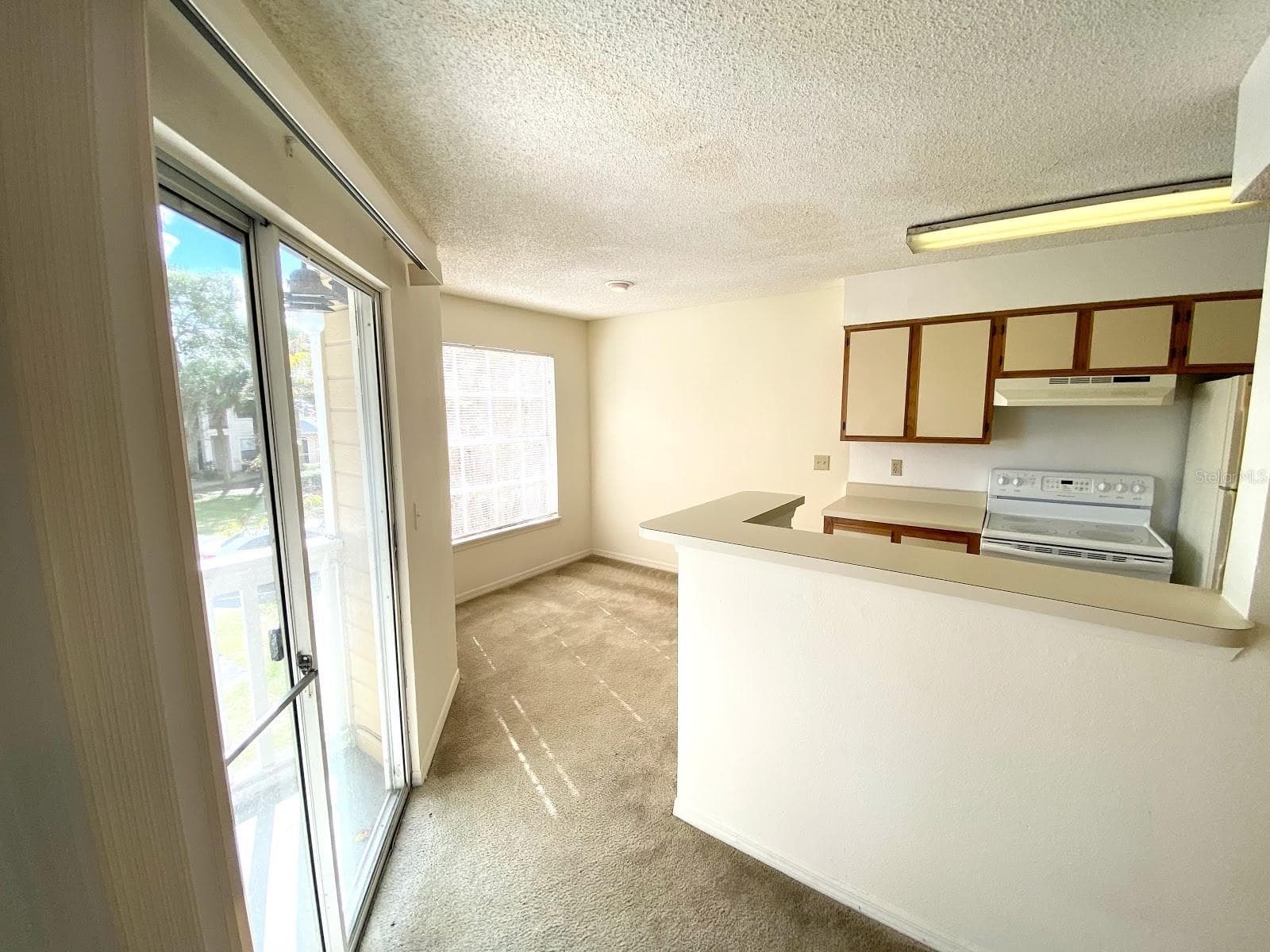 Condominium at 1083 S HIAWASSEE RD #623, ORLANDO, photo 6 of 25