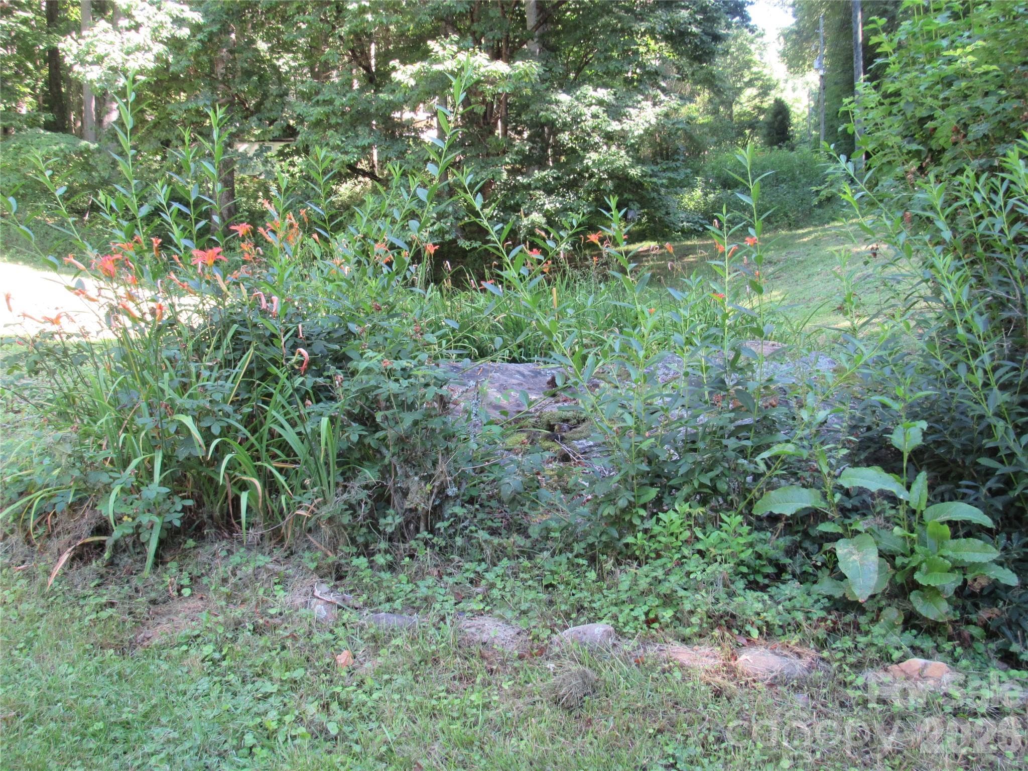 Single Family Residence at 664 Woodfin Road, Sylva, photo 18 of 23
