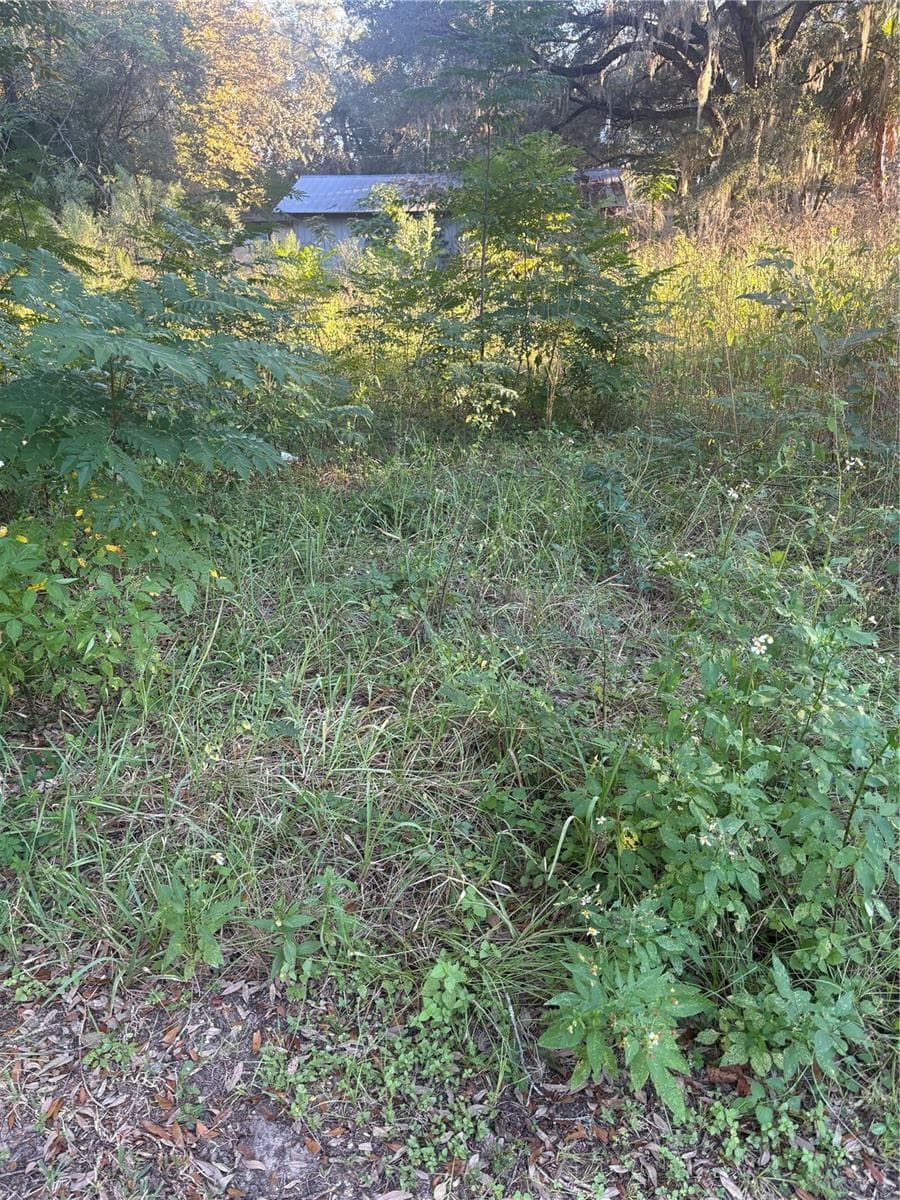 Land at NW 1ST STREET, OCALA, photo 3 of 4
