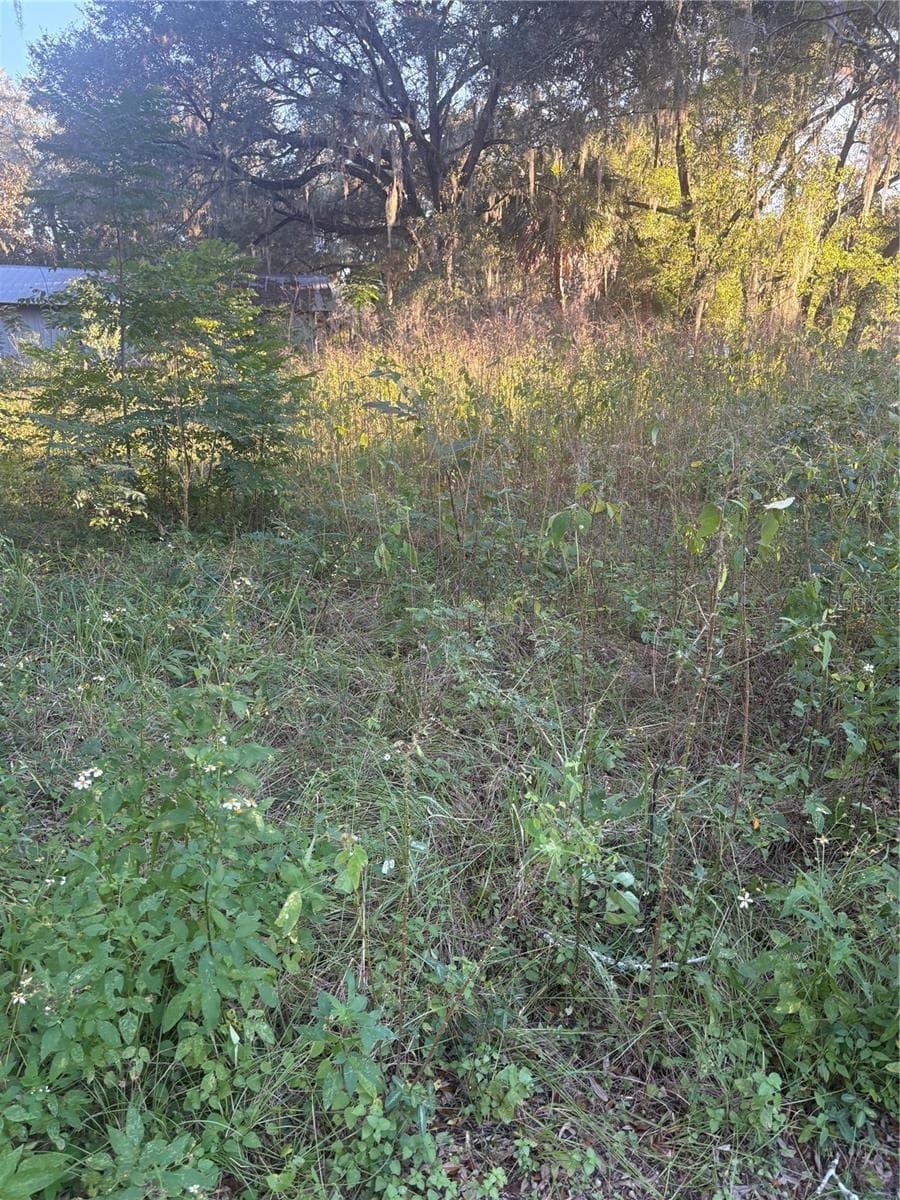 Land at NW 1ST STREET, OCALA, photo 4 of 4