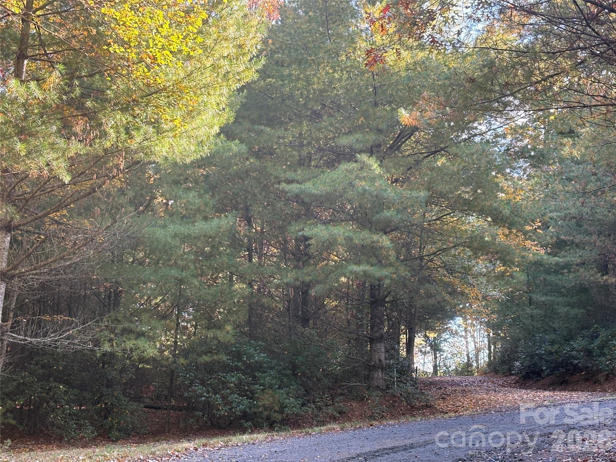 Lot at 10 Laurel View Estates, Jefferson, photo 7 of 7