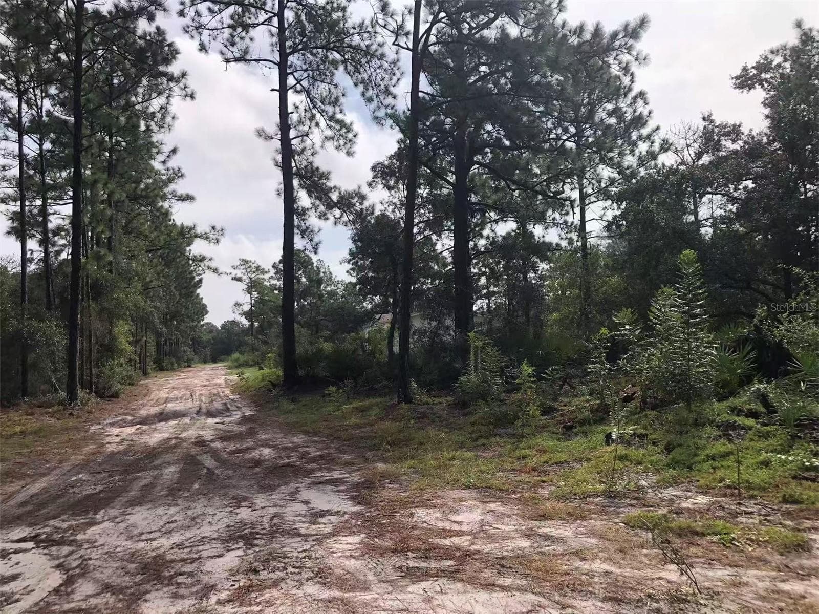 Lot 228 PARK FOREST BLVD #Lot 228