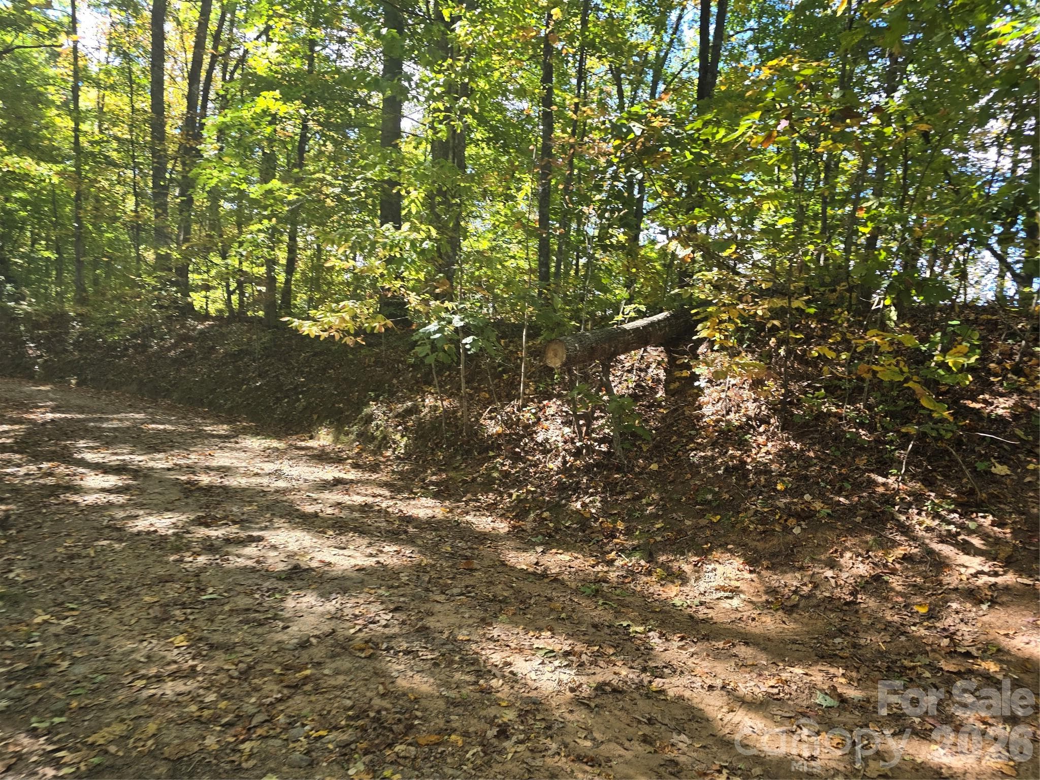 98 Hosta Drive