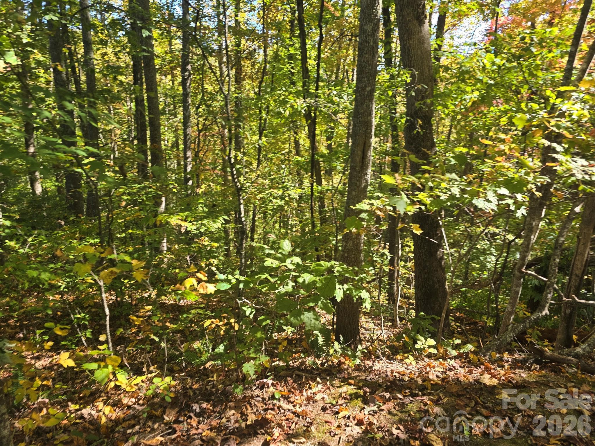 Lot at 98 Hosta Drive, Sylva, photo 4 of 13