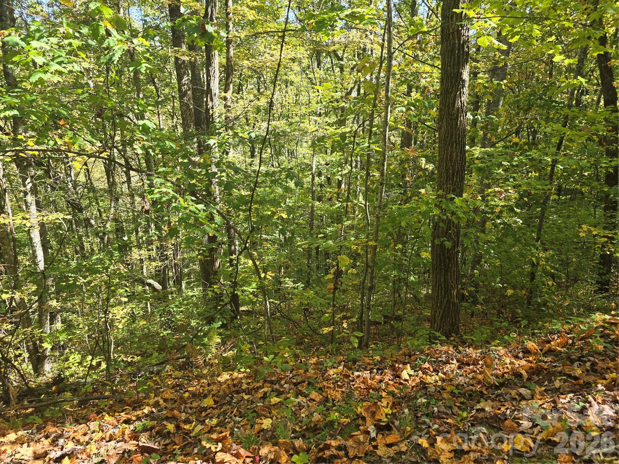 Lot at 98 Hosta Drive, Sylva, photo 6 of 13