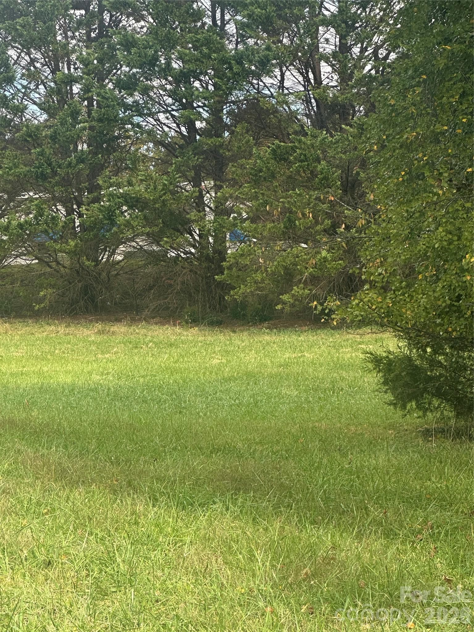 Lot 105 Parson Lane