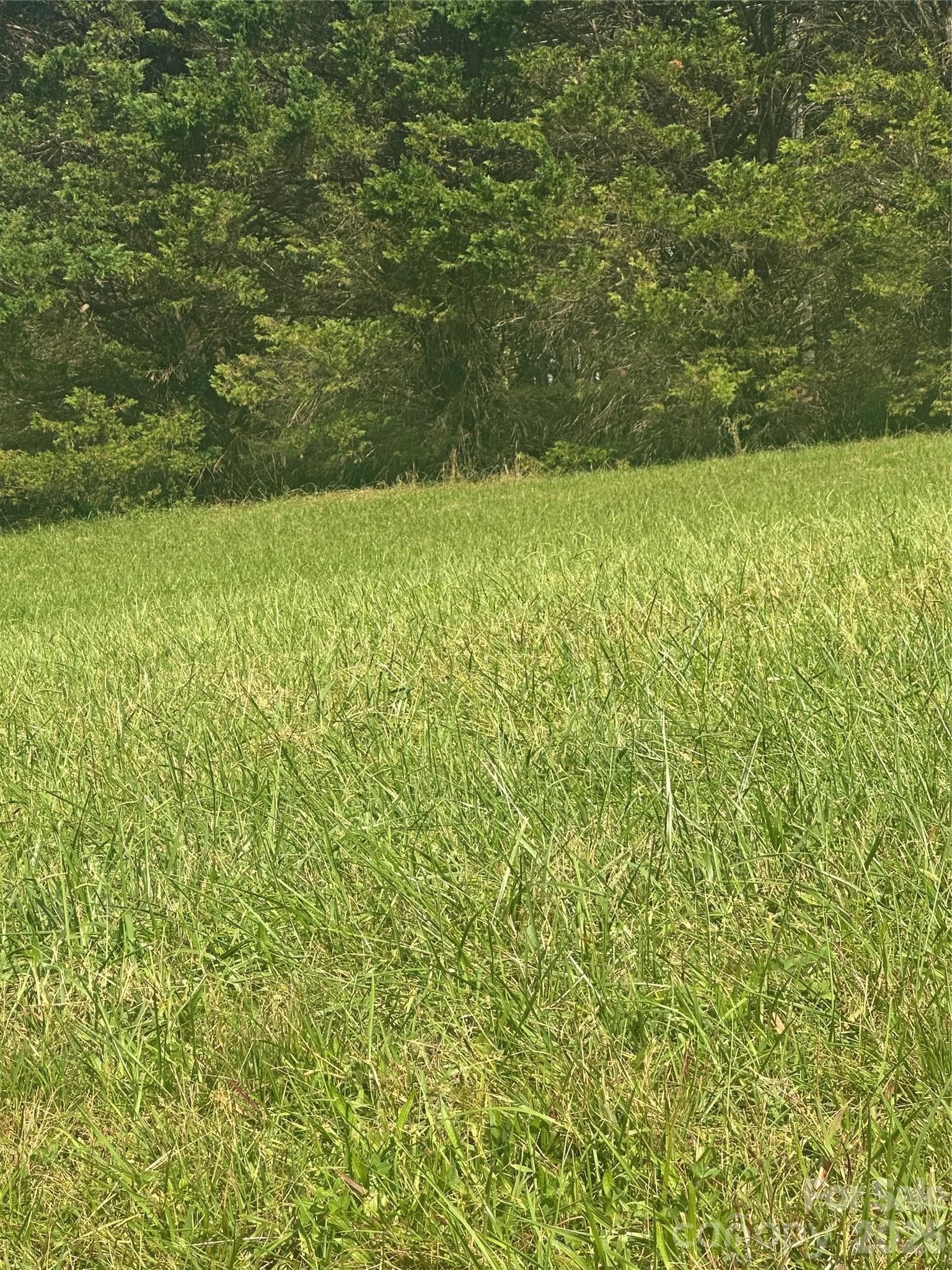 Lot 104 Parson Lane