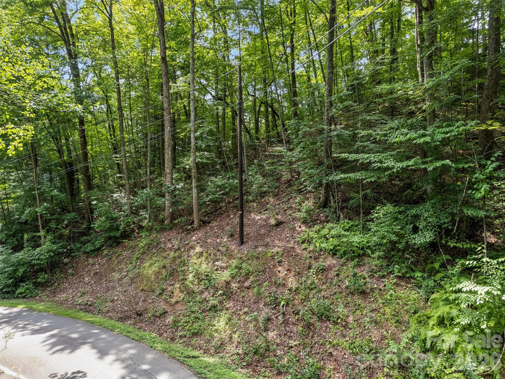 Lot at #16 Sherman Way, Waynesville, photo 2 of 19
