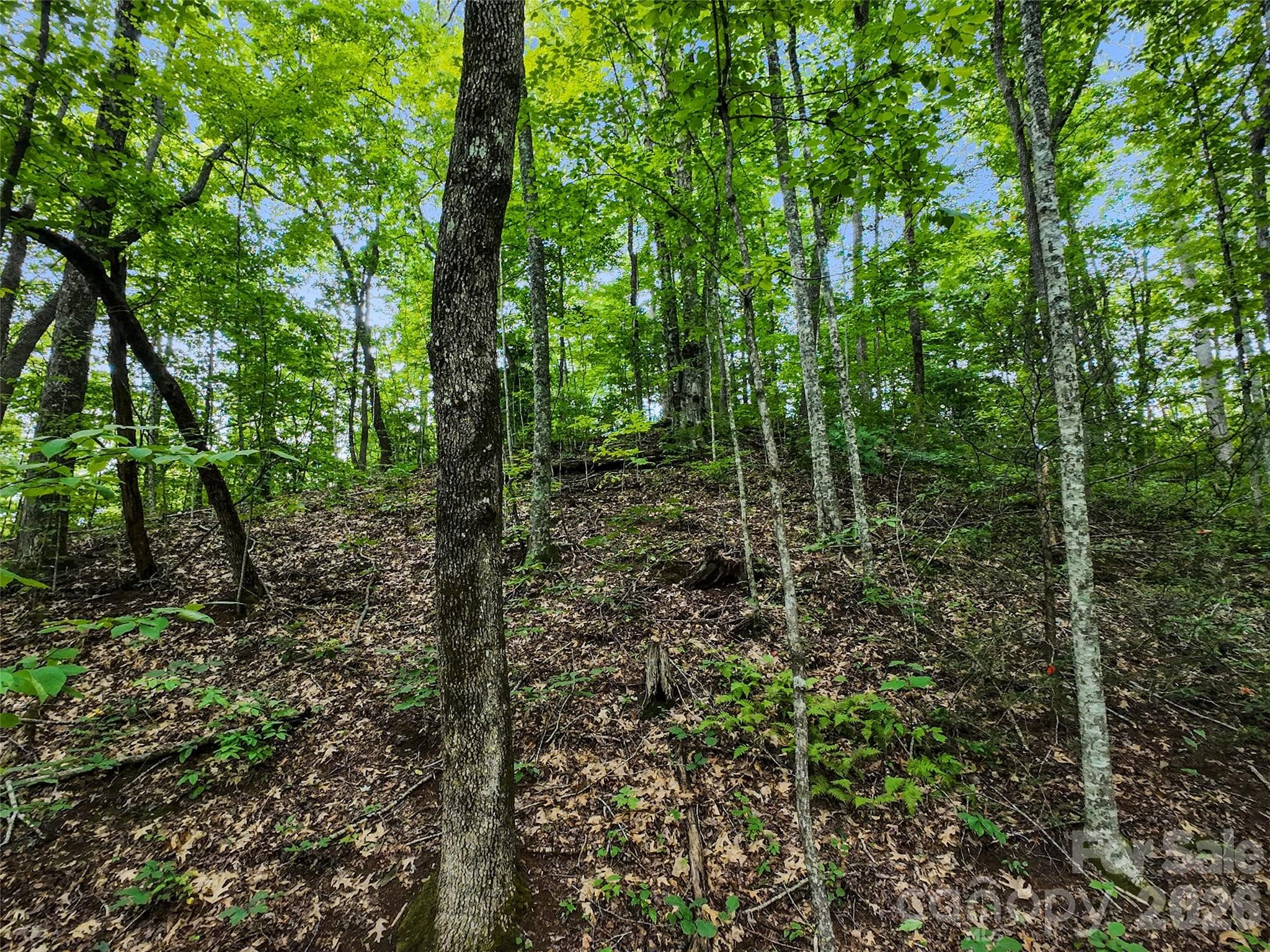 Lot at #16 Sherman Way, Waynesville, photo 8 of 19