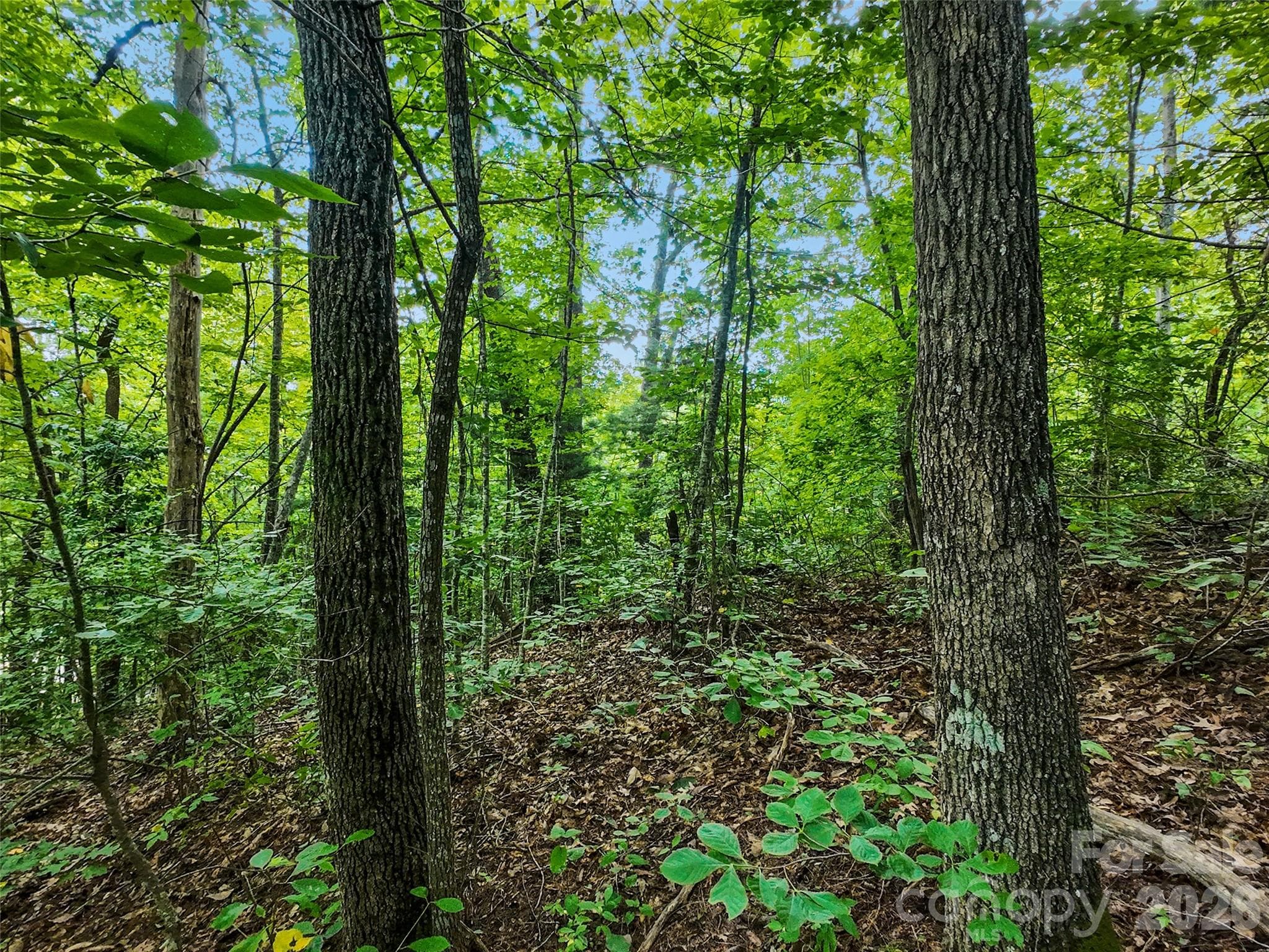 Lot at #16 Sherman Way, Waynesville, photo 12 of 19