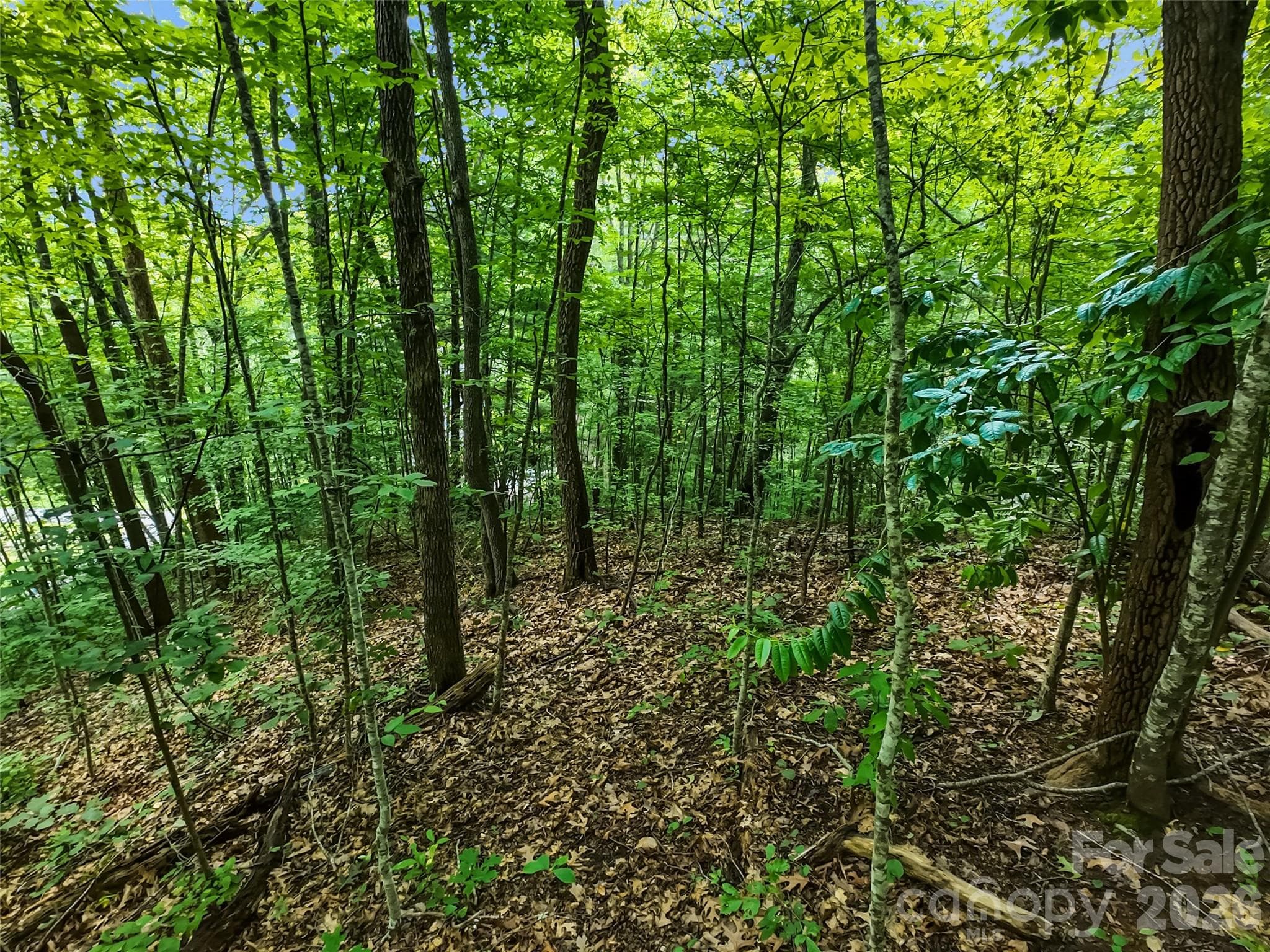 Lot at #16 Sherman Way, Waynesville, photo 13 of 19