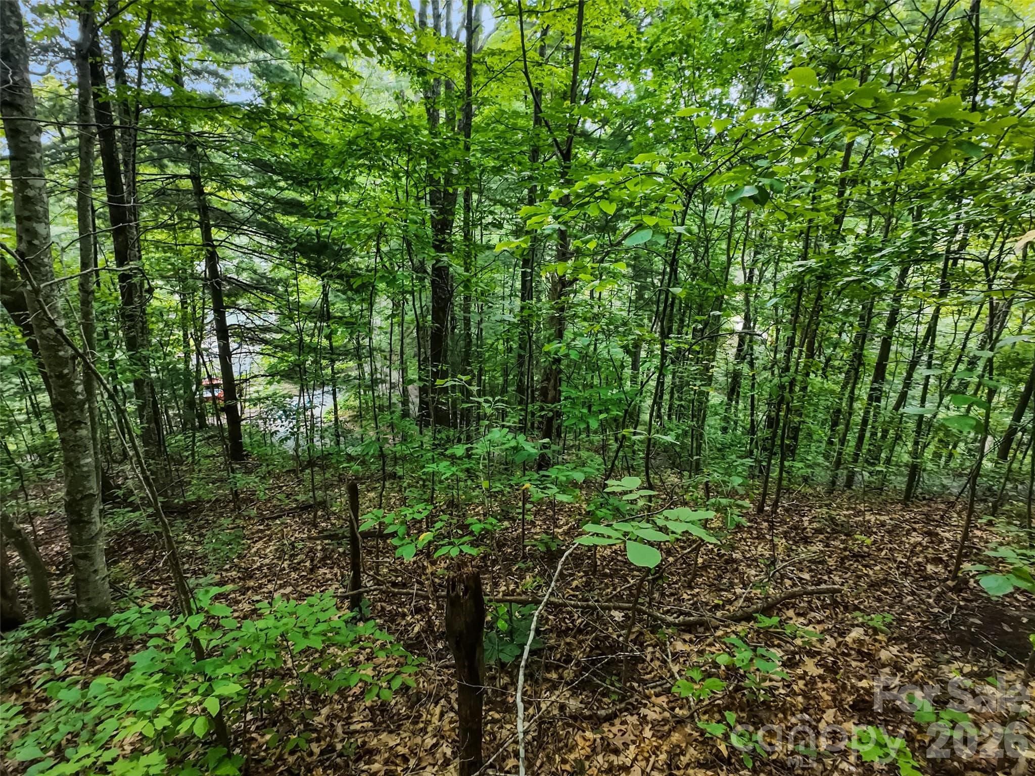 Lot at #16 Sherman Way, Waynesville, photo 14 of 19