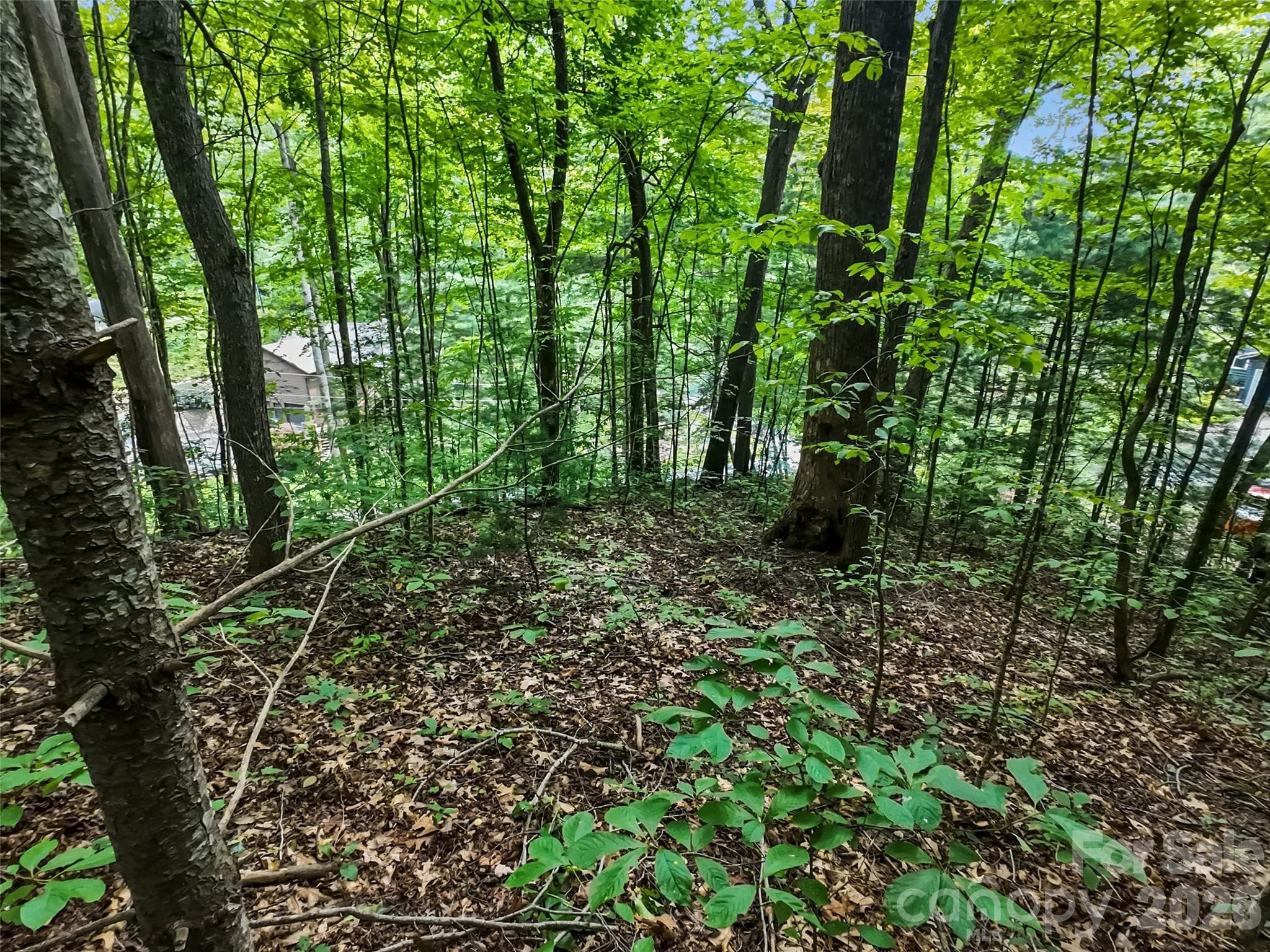 Lot at #16 Sherman Way, Waynesville, photo 15 of 19