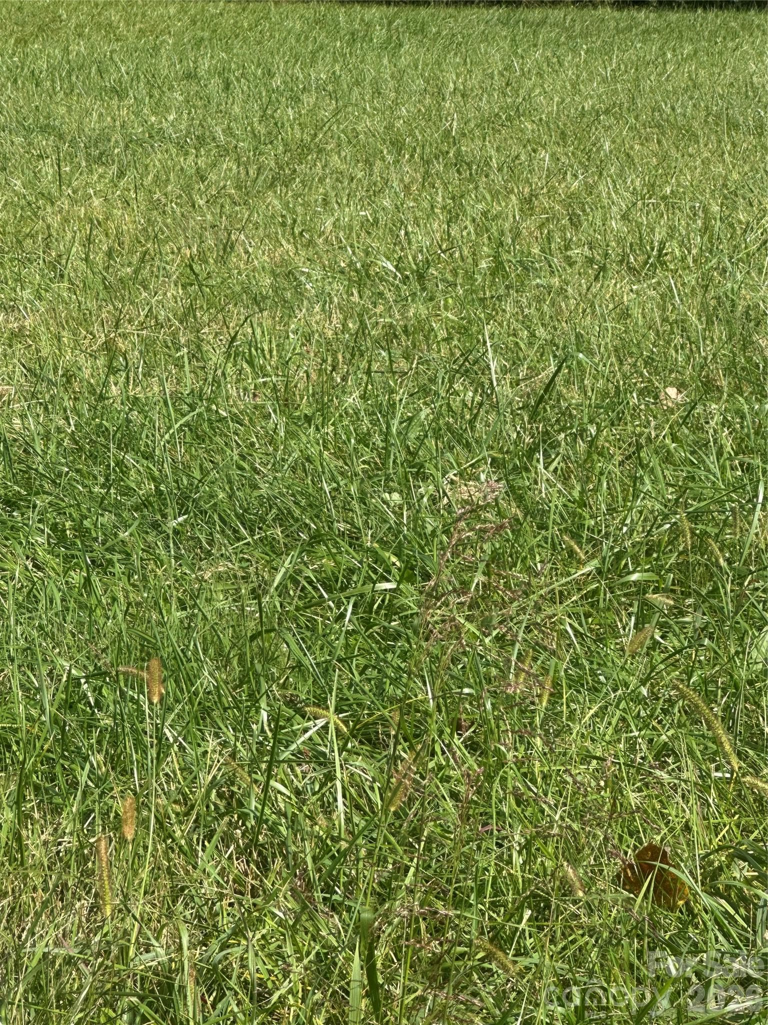 Lot 102 Parson Lane