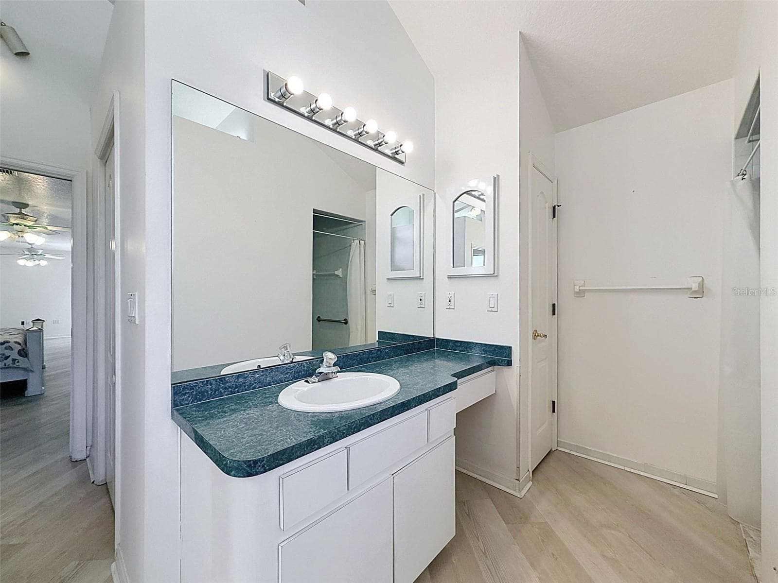 Owner's suite includes jetted tub, two WICs, linen closet, water closet, two vanities, and large shower. - 10074 SLEEPY WILLOW CT, SPRING HILL