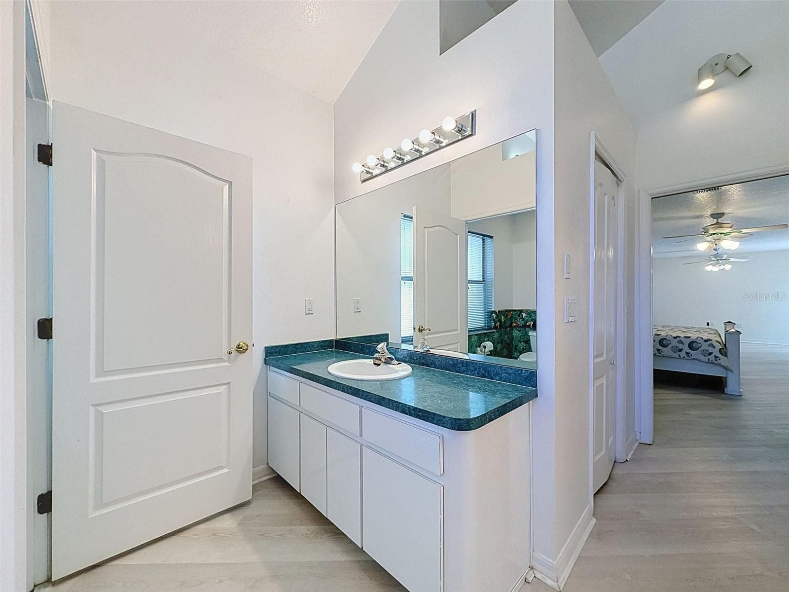 Owner's suite includes jetted tub, two WICs, linen closet, water closet, two vanities, and large shower. - 10074 SLEEPY WILLOW CT, SPRING HILL