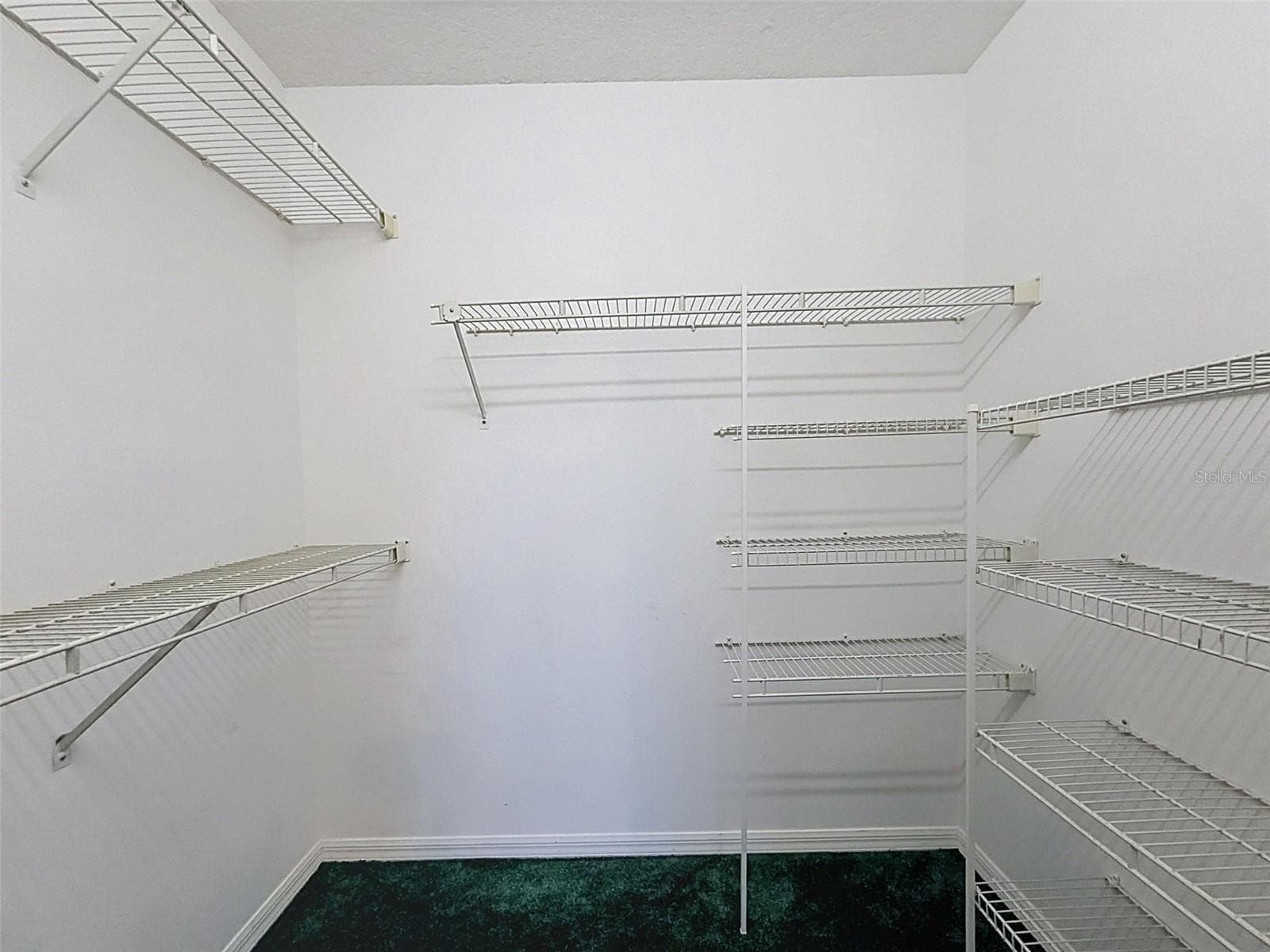 WIC in one of the guest bedrooms. - 10074 SLEEPY WILLOW CT, SPRING HILL