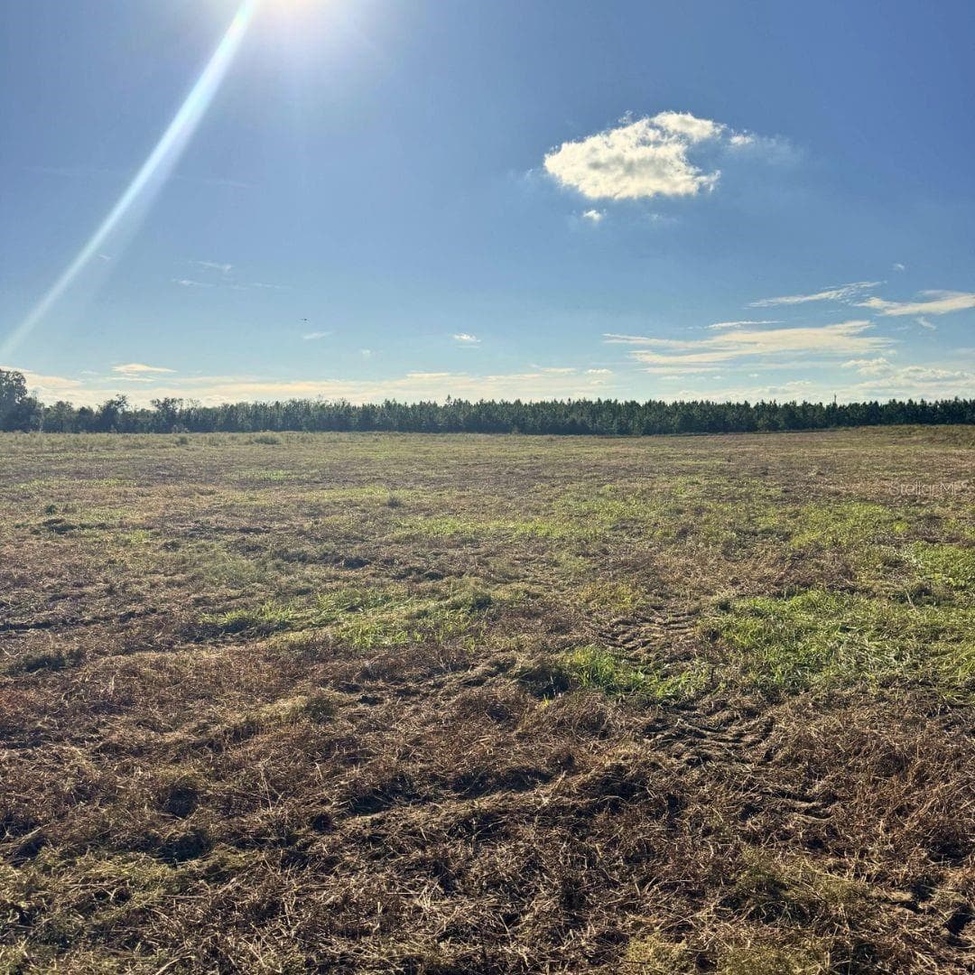 Land at 4274 SOUTHWEST 99TH AVENUE, JASPER, photo 2 of 3