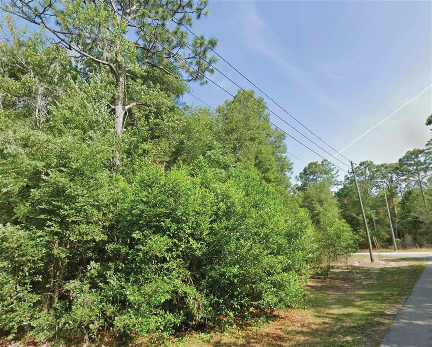 Land at SW 86TH ST, DUNNELLON, photo 2 of 3