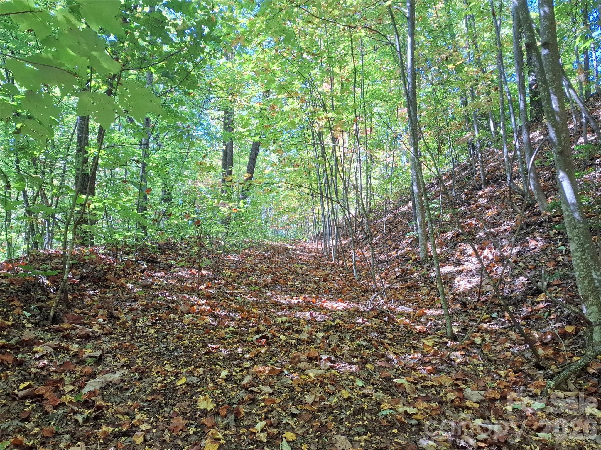 Lot at 965 Wolf Pen Road, Old Fort, photo 2 of 30