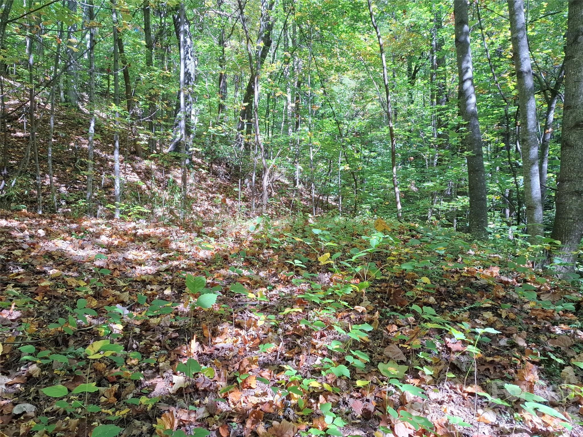 Lot at 965 Wolf Pen Road, Old Fort, photo 12 of 30