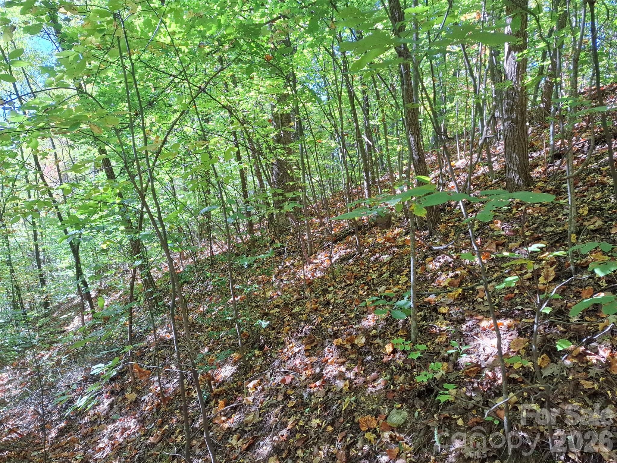 Lot at 965 Wolf Pen Road, Old Fort, photo 13 of 30