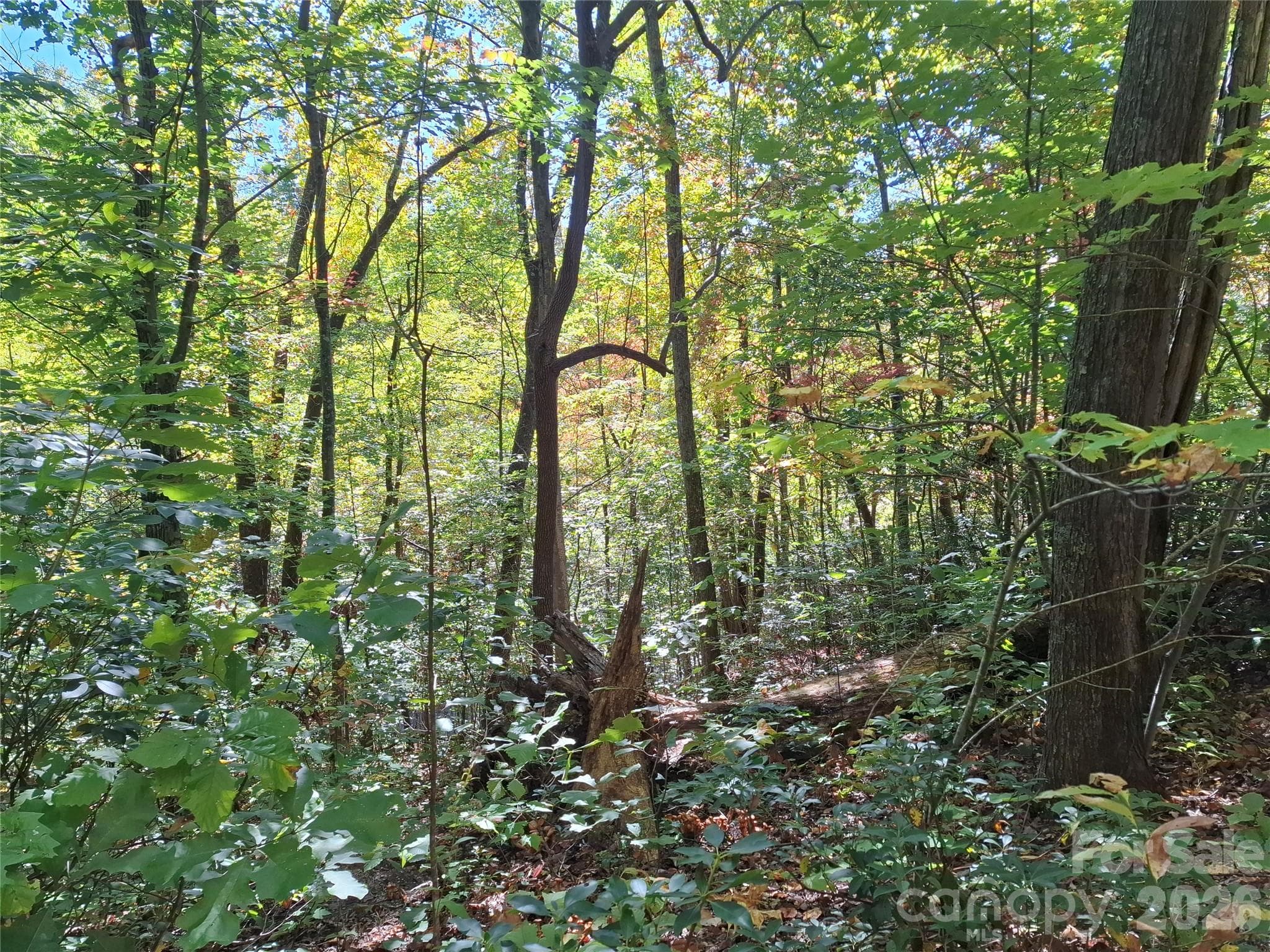Lot at 965 Wolf Pen Road, Old Fort, photo 15 of 30