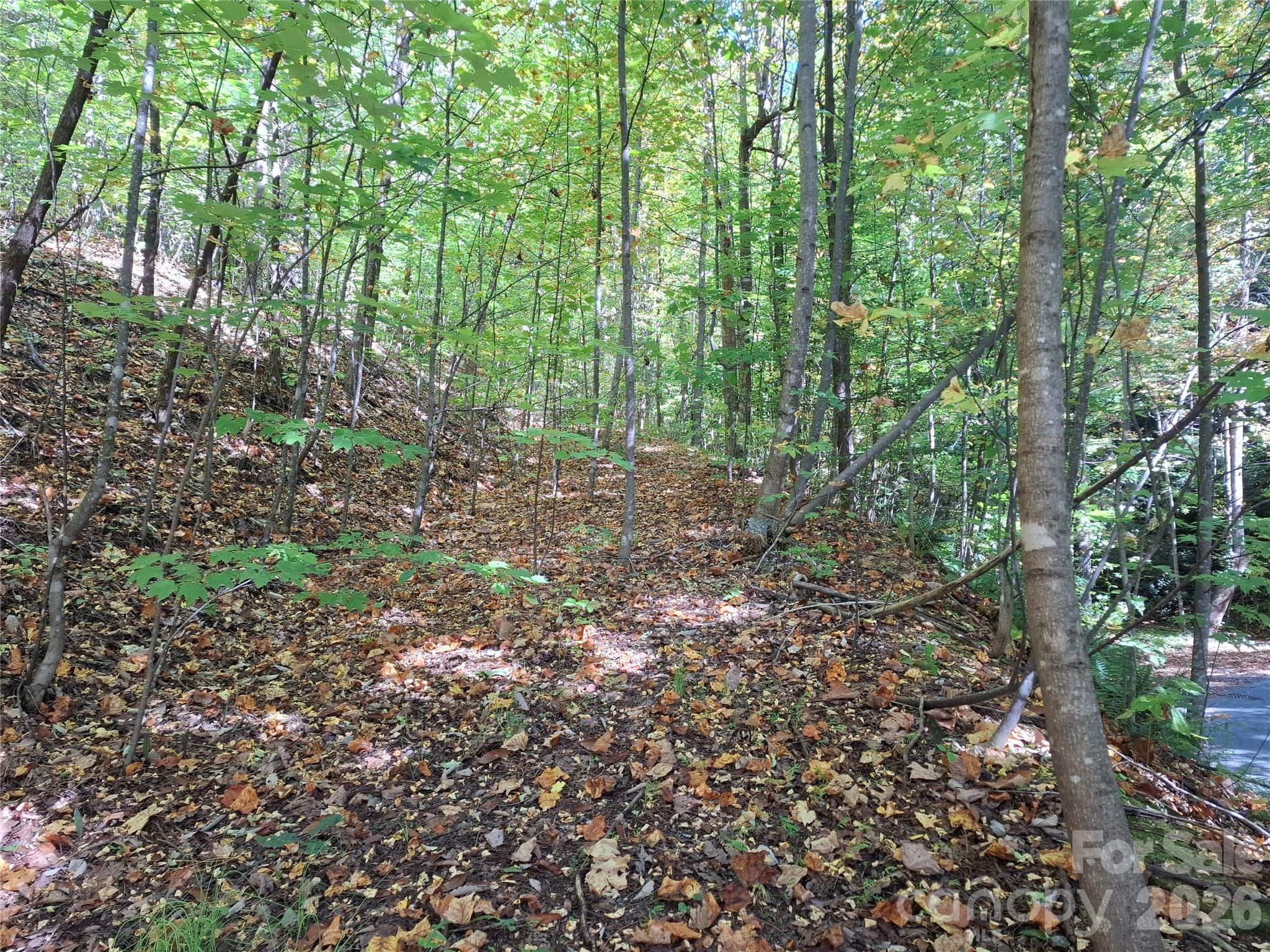 Lot at 965 Wolf Pen Road, Old Fort, photo 18 of 30