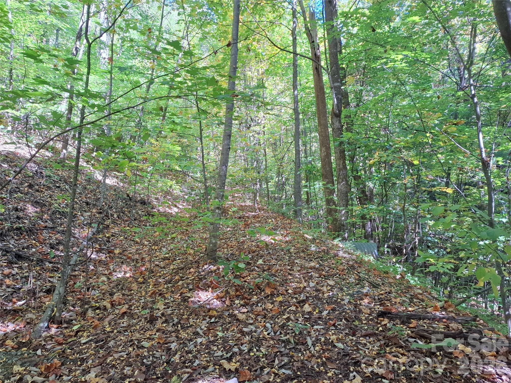 Lot at 965 Wolf Pen Road, Old Fort, photo 19 of 30