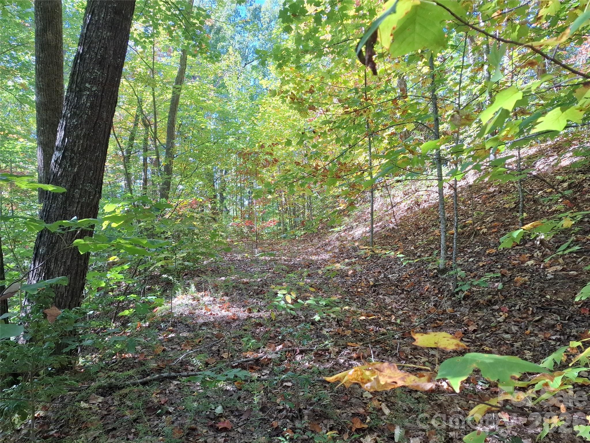 Lot at 965 Wolf Pen Road, Old Fort, photo 24 of 30