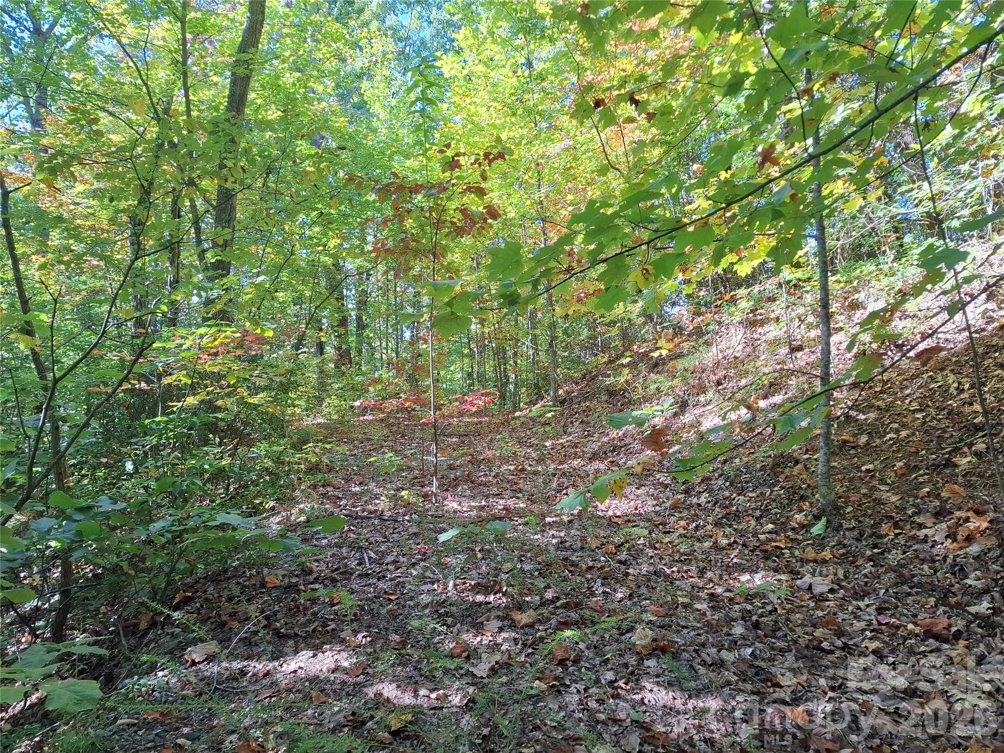 Lot at 965 Wolf Pen Road, Old Fort, photo 25 of 30