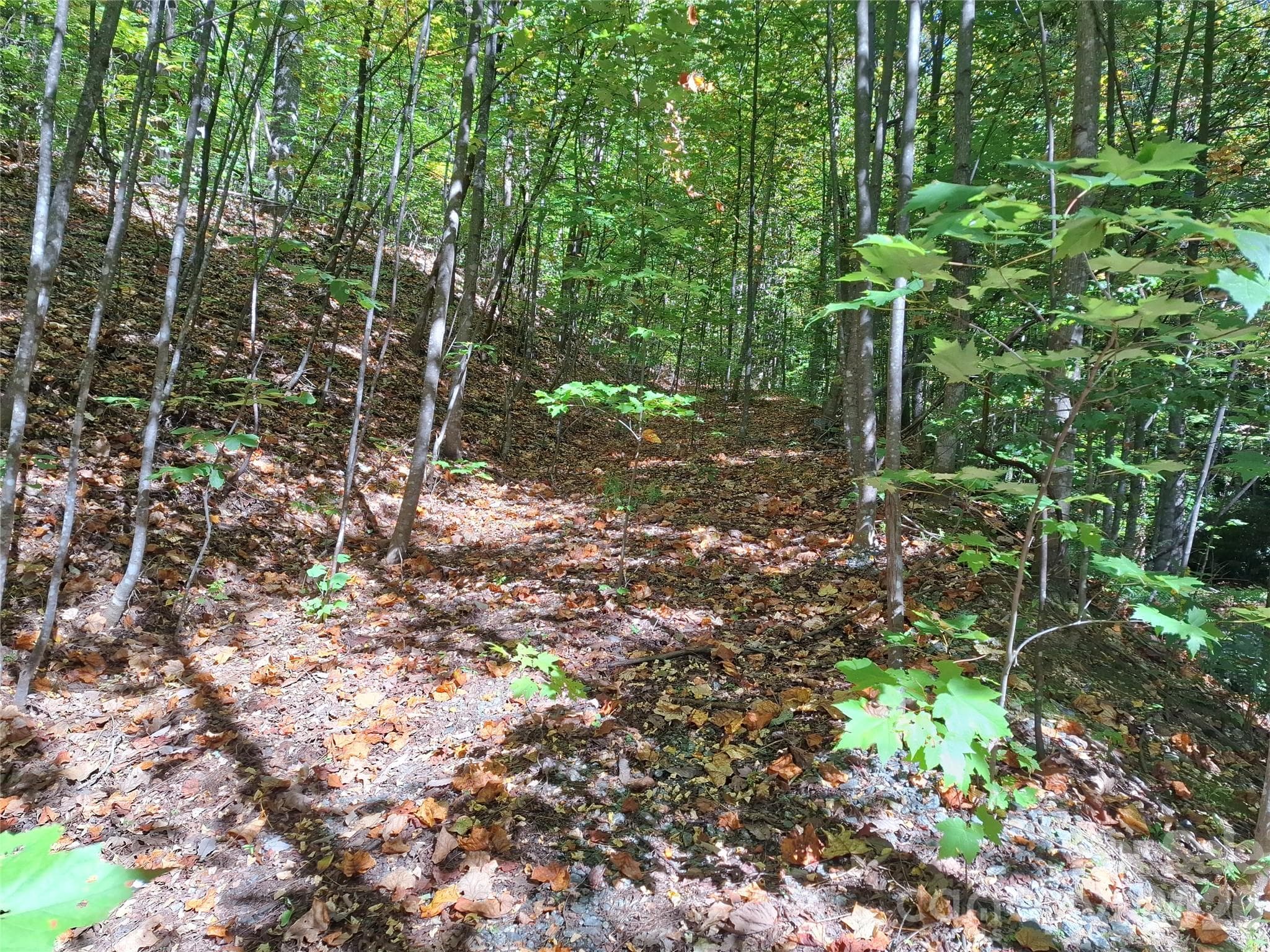 Lot at 965 Wolf Pen Road, Old Fort, photo 26 of 30