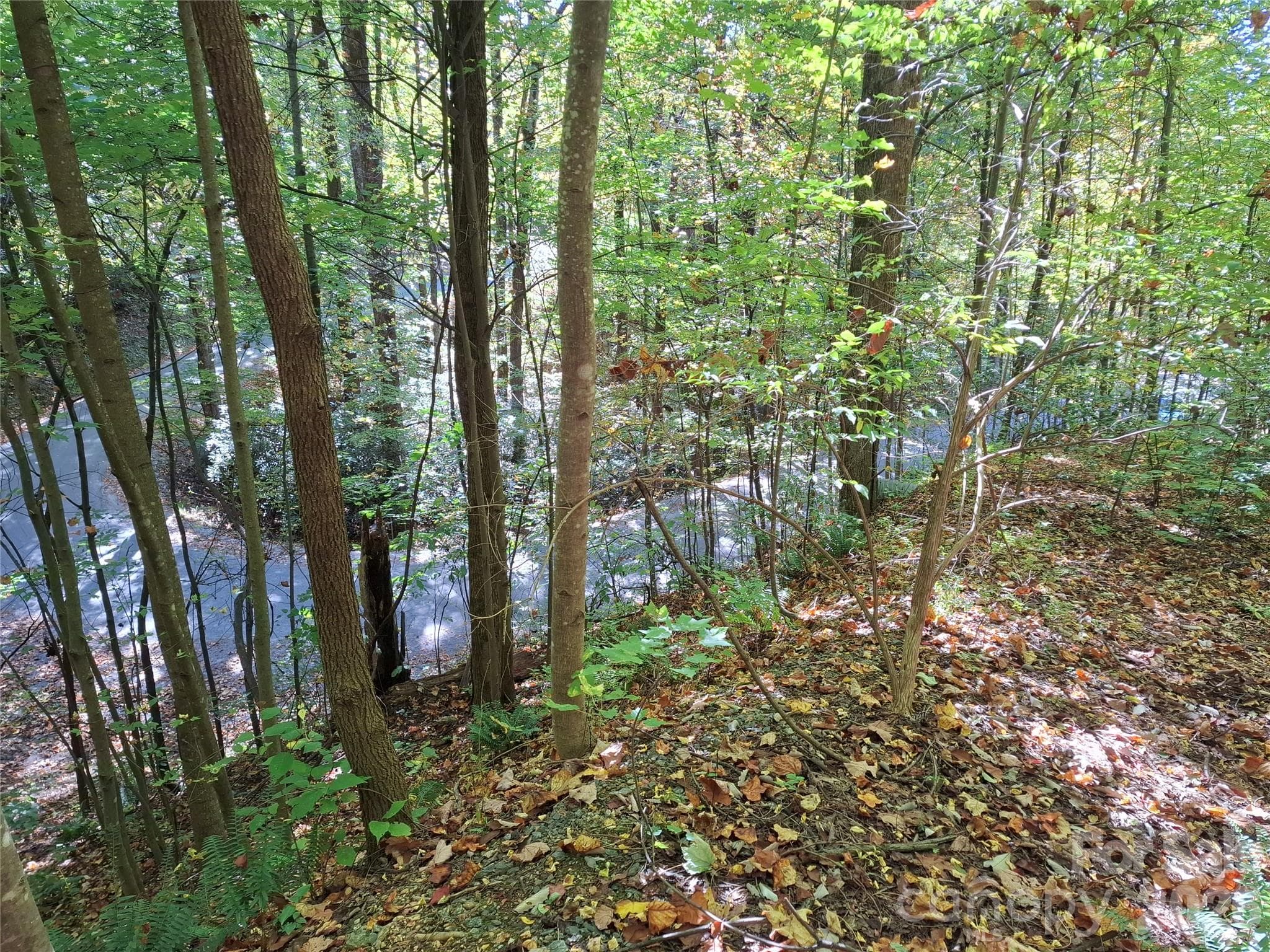 Lot at 965 Wolf Pen Road, Old Fort, photo 27 of 30