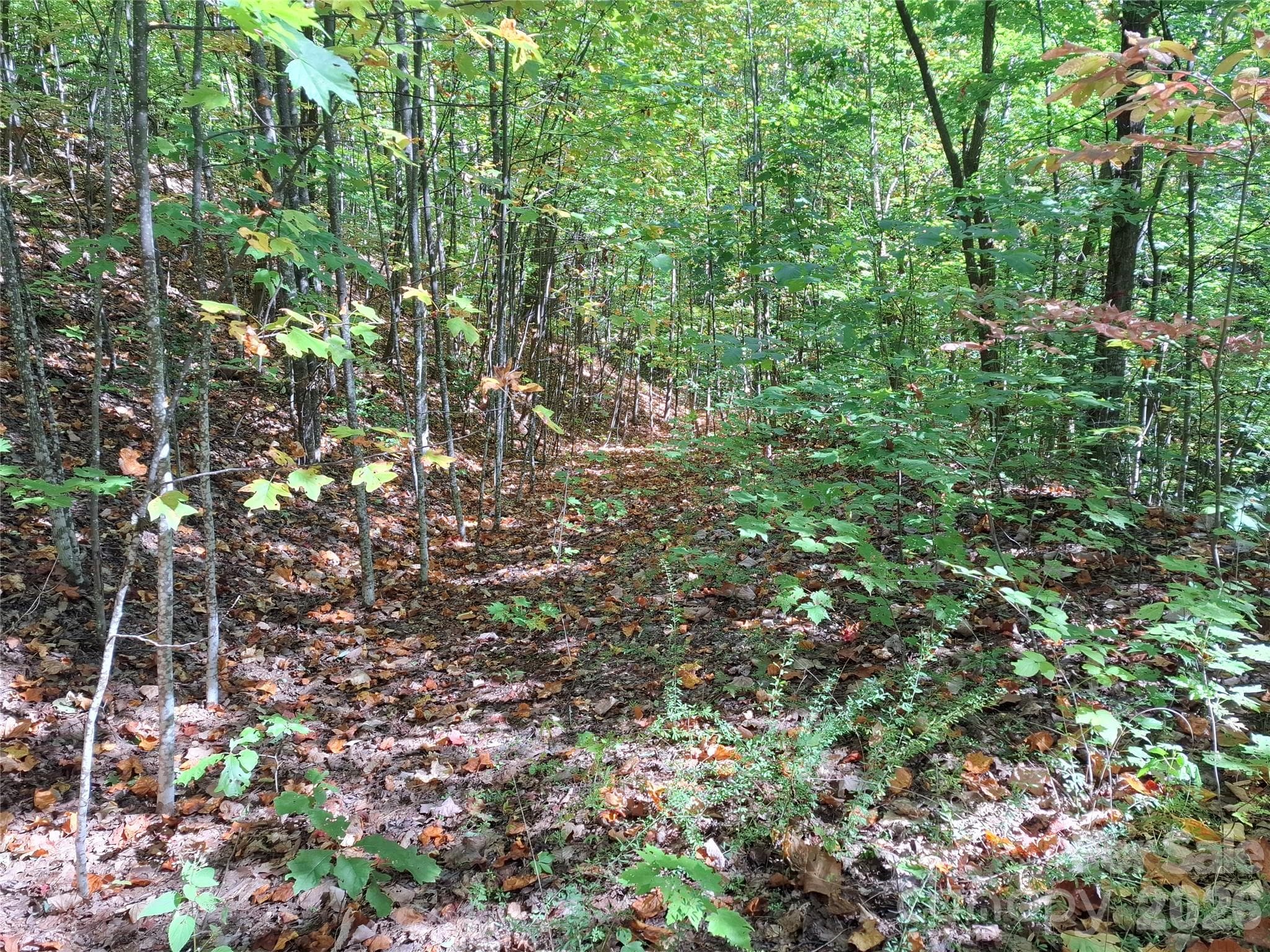 Lot at 965 Wolf Pen Road, Old Fort, photo 29 of 30