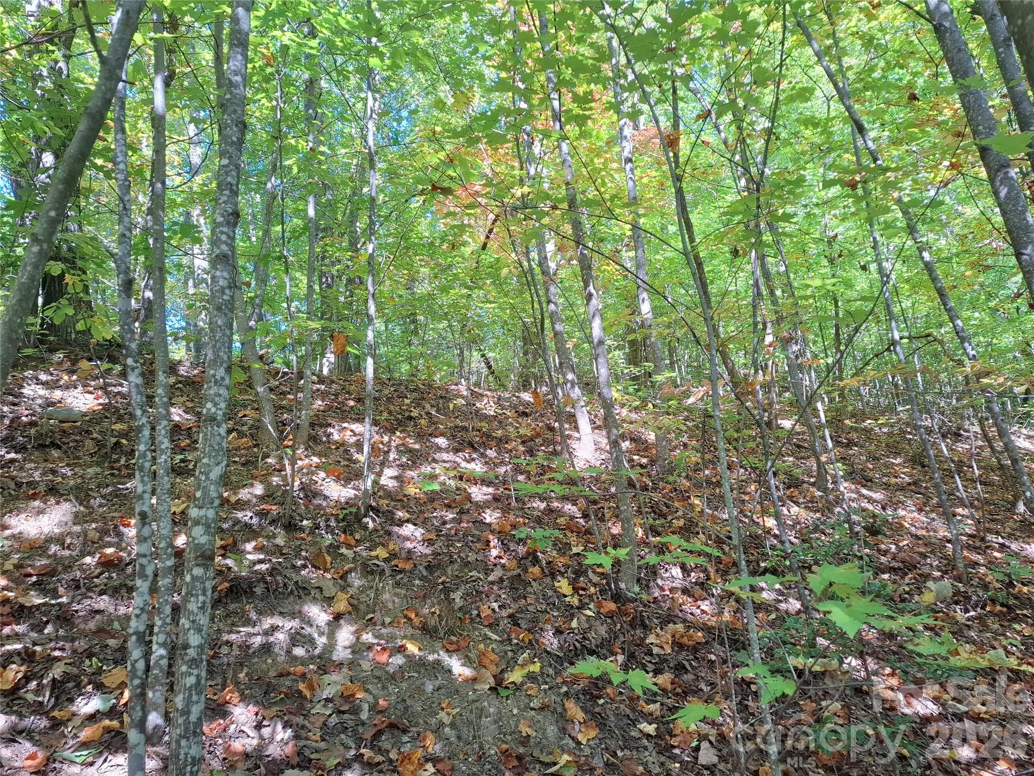 Lot at 965 Wolf Pen Road, Old Fort, photo 30 of 30