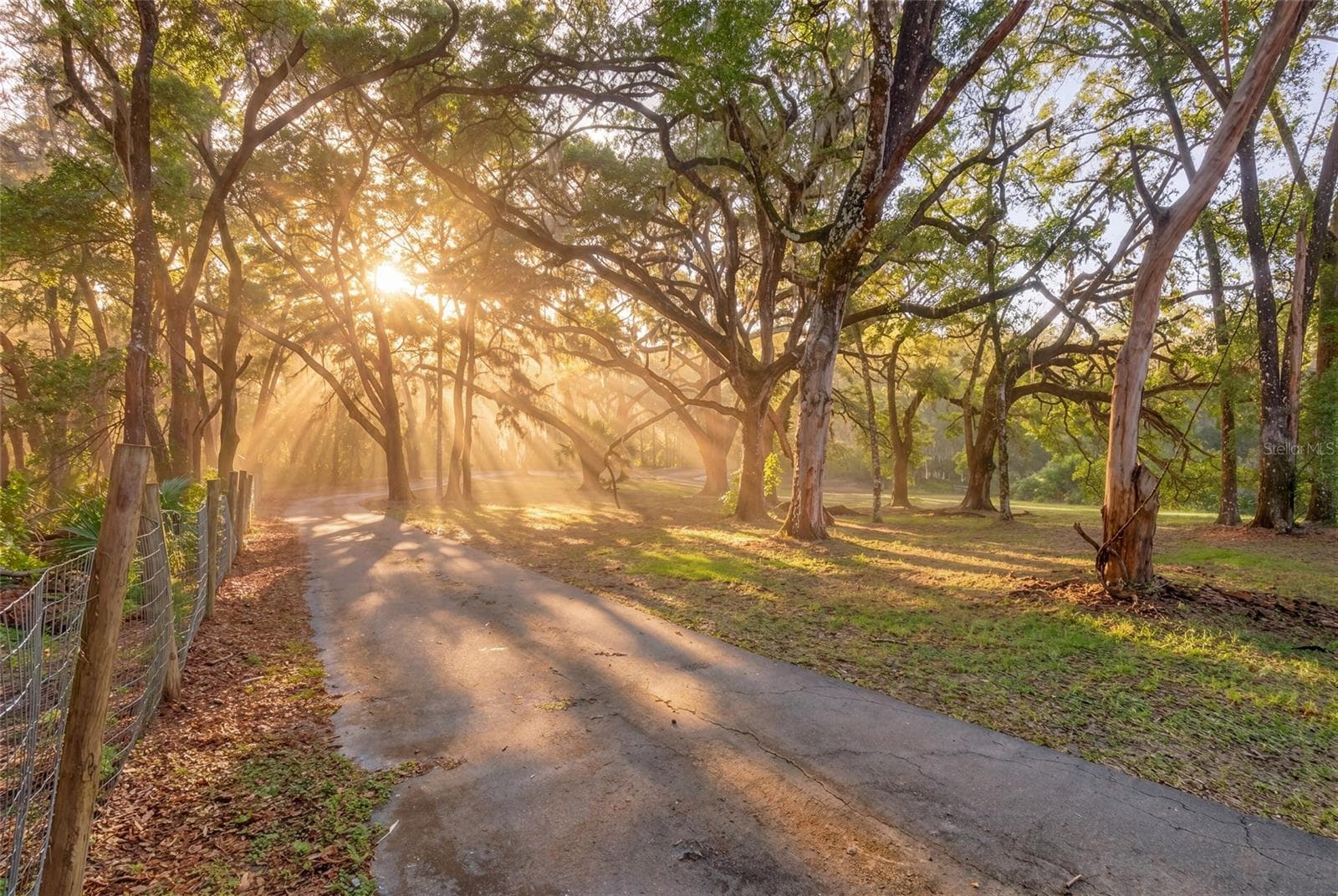 Single Family Residence at 11795 SW HIGHWAY 484, DUNNELLON, photo 9 of 84