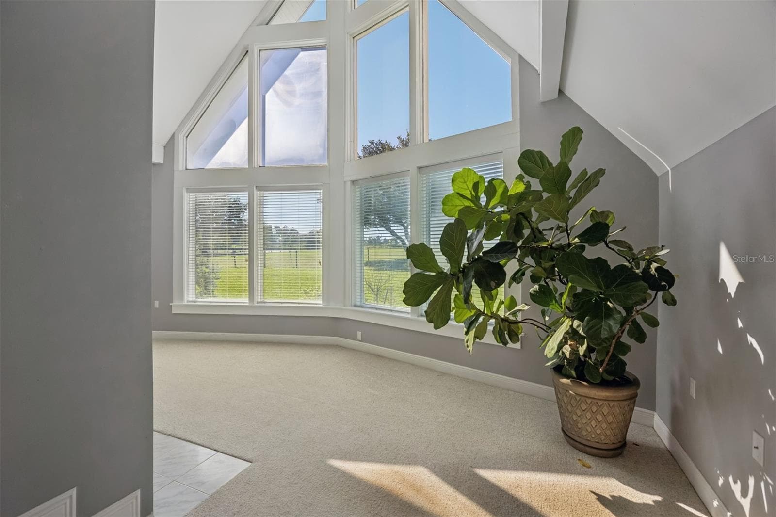 Let the Sunshine in! - 16131 JOHNS LAKE RD, CLERMONT