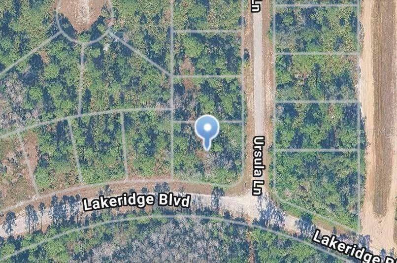 Land at 351 URSULA LN, LEHIGH ACRES, photo 2 of 2
