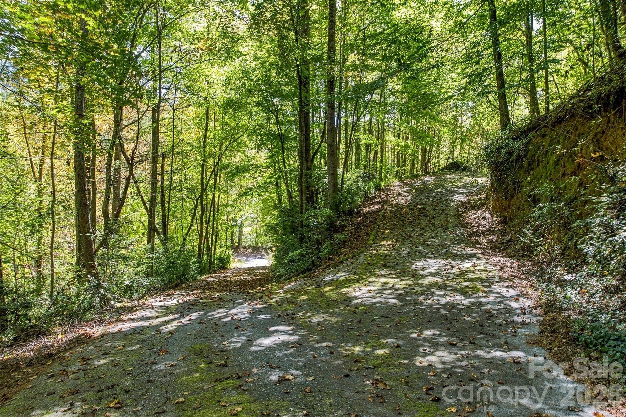 Driveway to second homesite on property - 72 Lyman Lane, Rosman