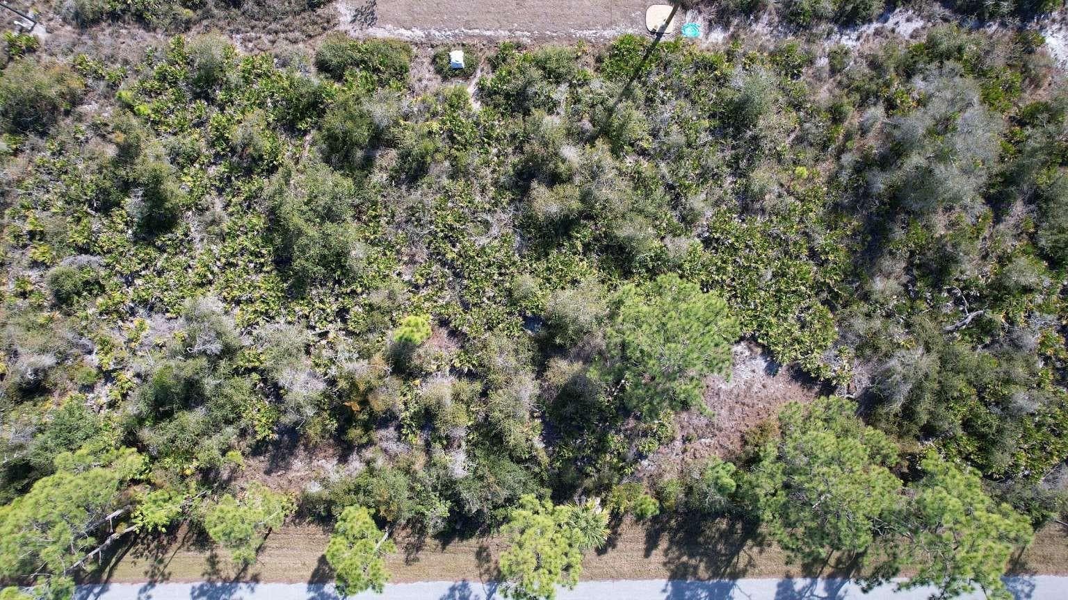 Aerial view of the lot. - 12181 CONROY AVE, PORT CHARLOTTE