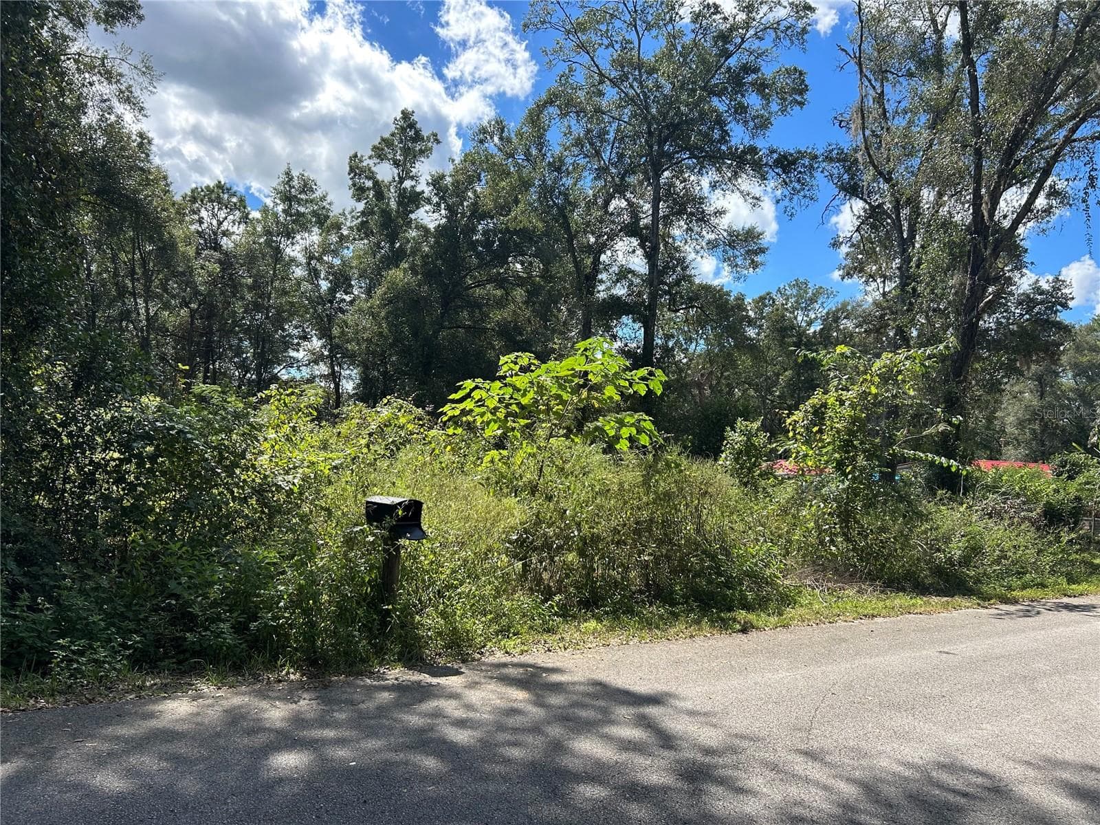 Land at TBD NW 19TH LN, OCALA, photo 2 of 5
