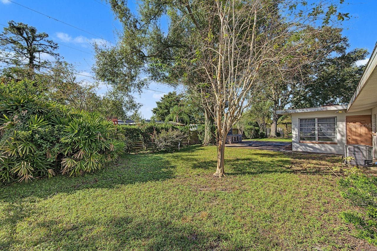 backyard - 211 DRUID HILLS RD, TEMPLE TERRACE