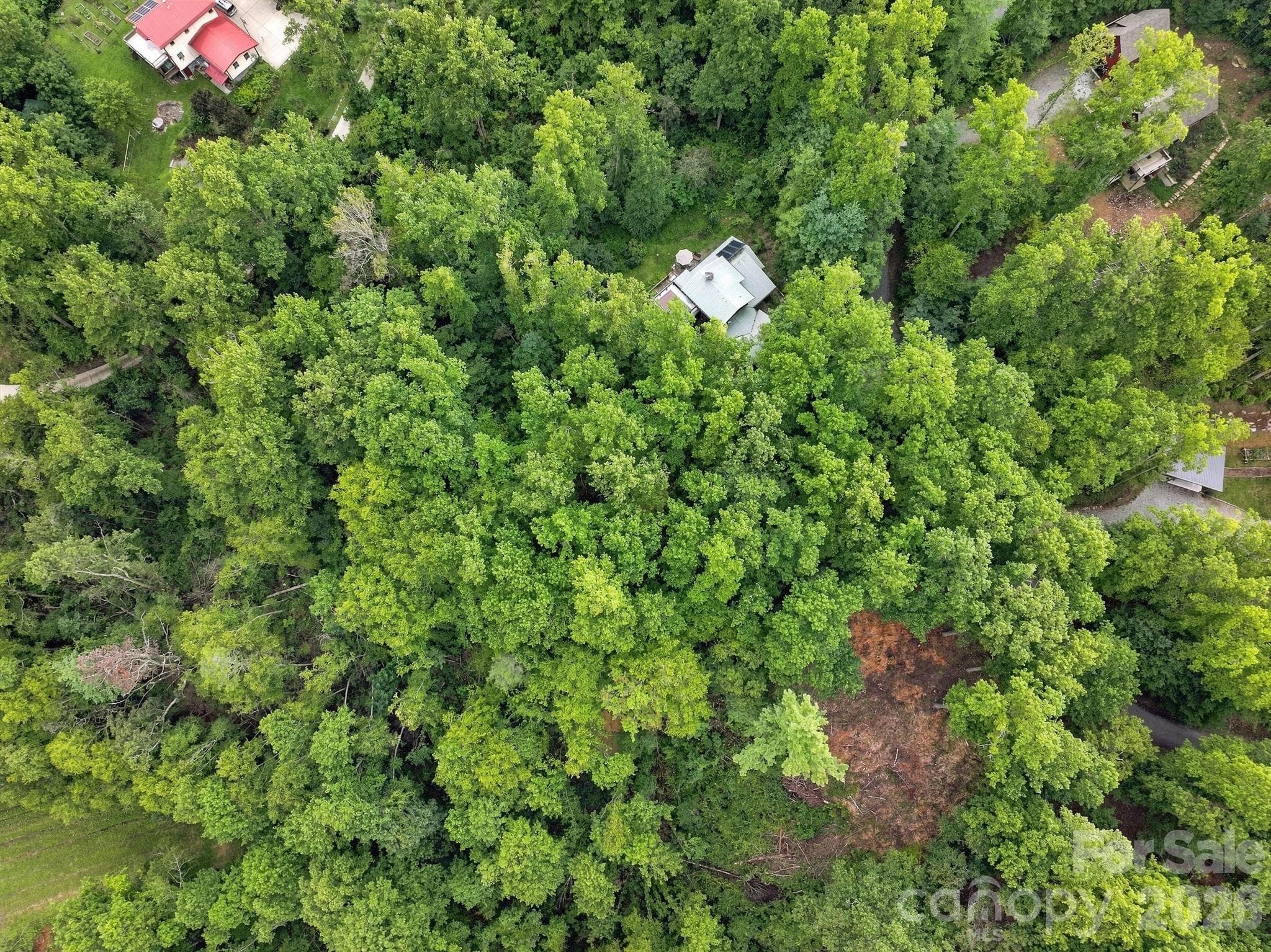 Lot at 193 Fern Cove Lane, Gerton, photo 4 of 13