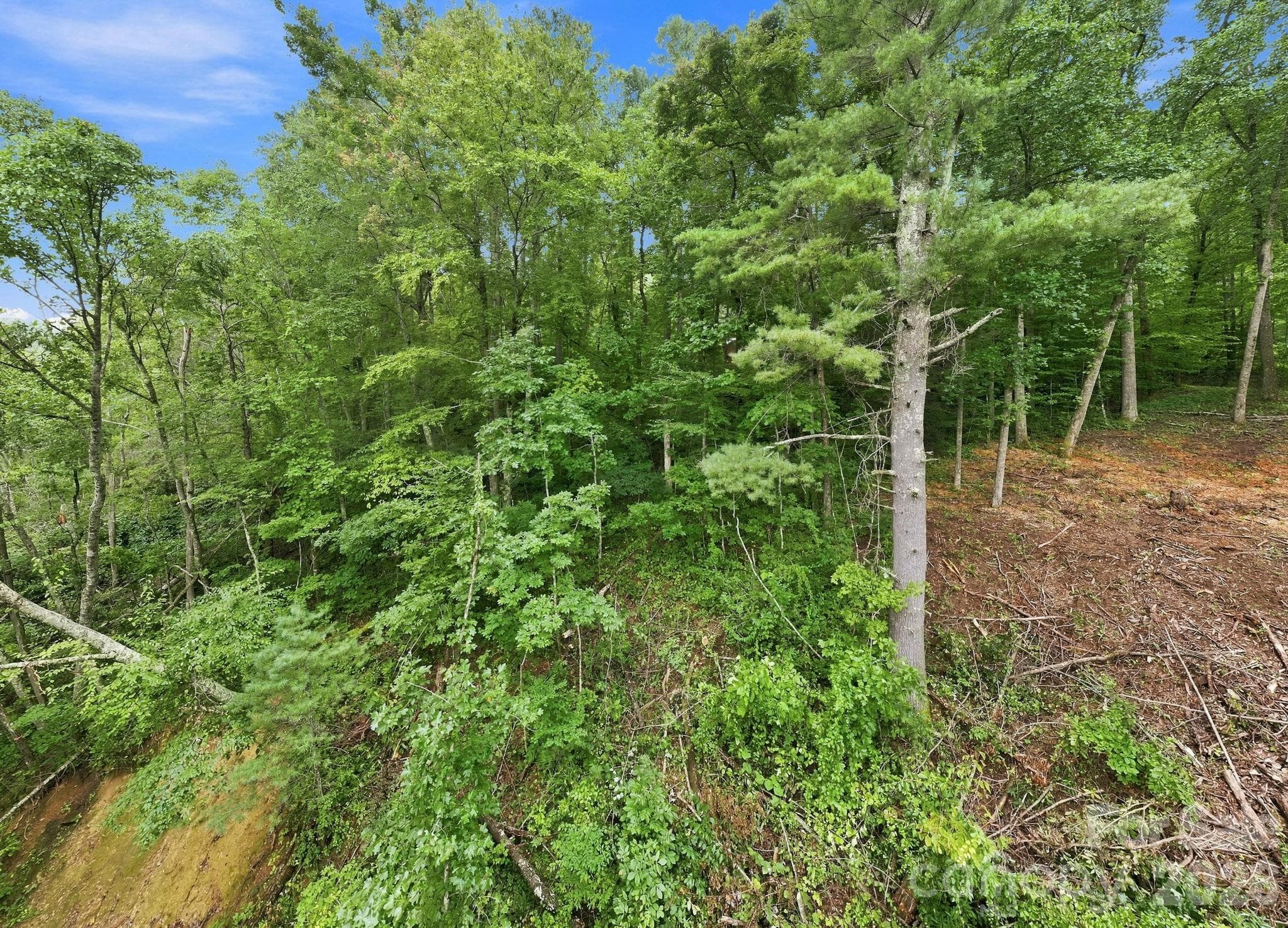 Lot at 193 Fern Cove Lane, Gerton, photo 6 of 13